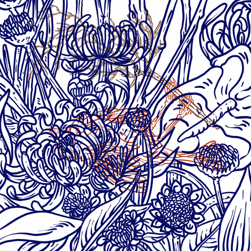 The Birds of Emotion #335