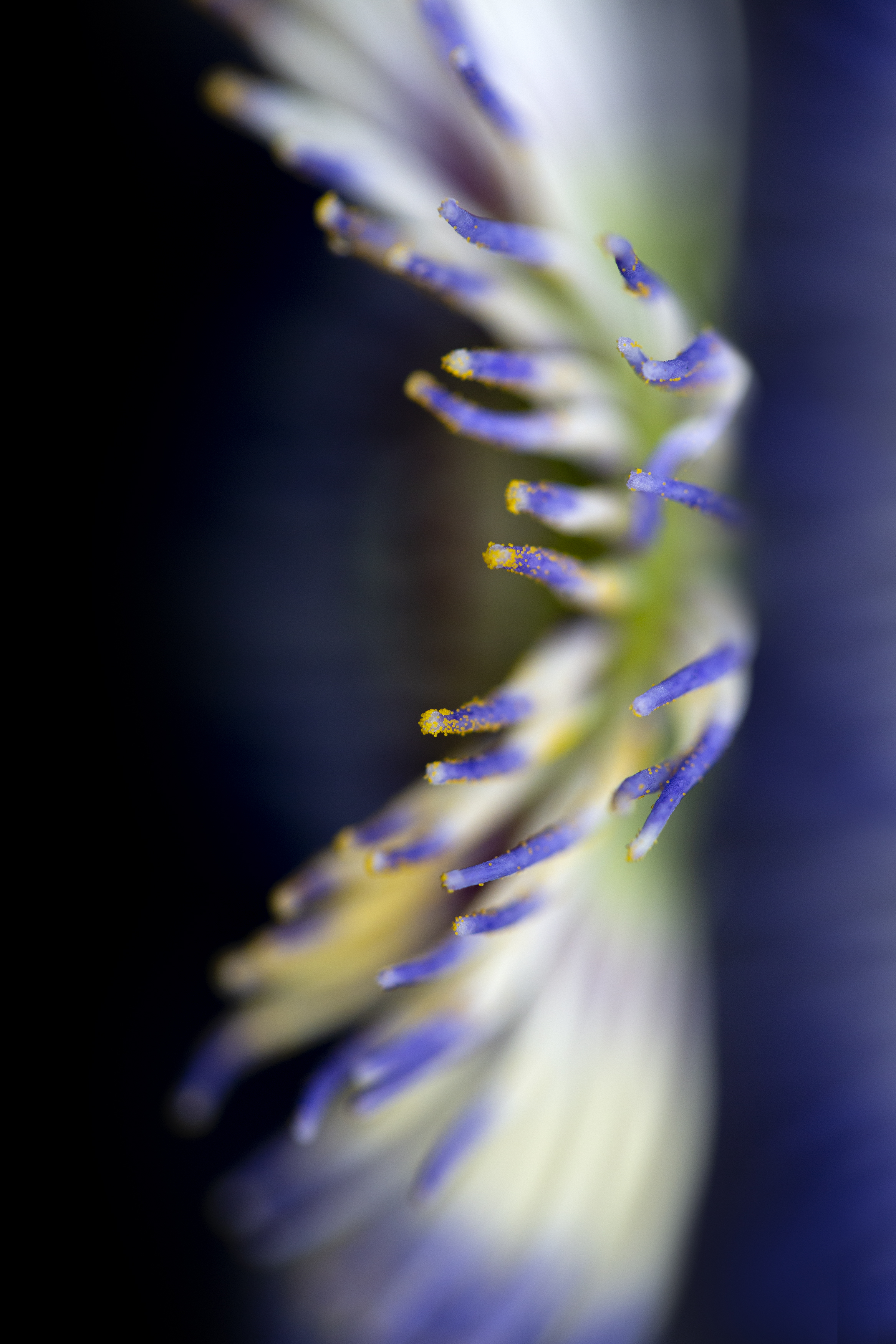 Flying through the stars