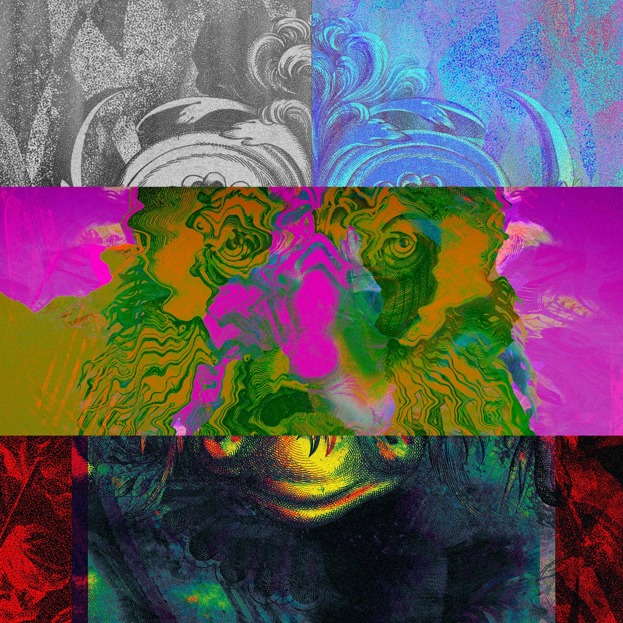 collage image-3 for the collection