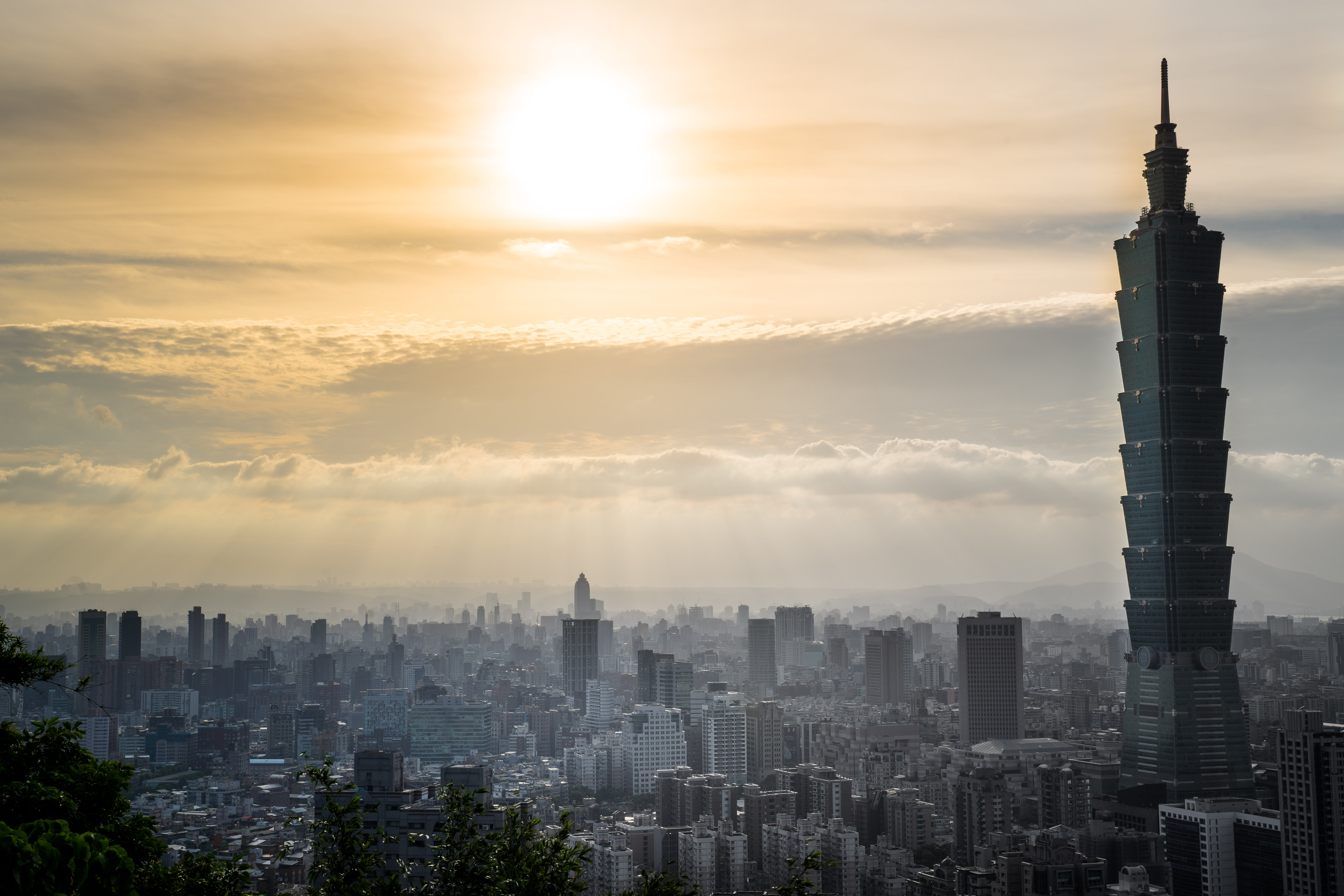 CS Community Collection #425