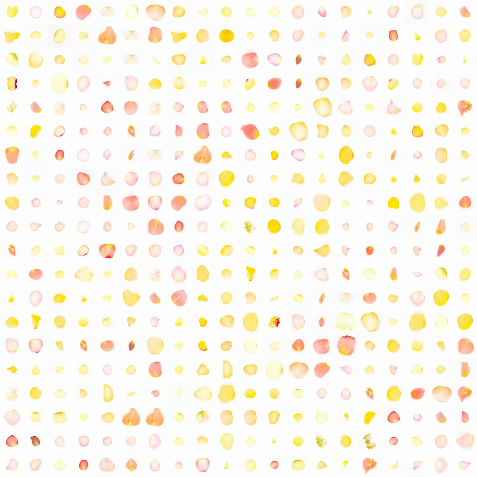 Infinite Petals 20x20#3932