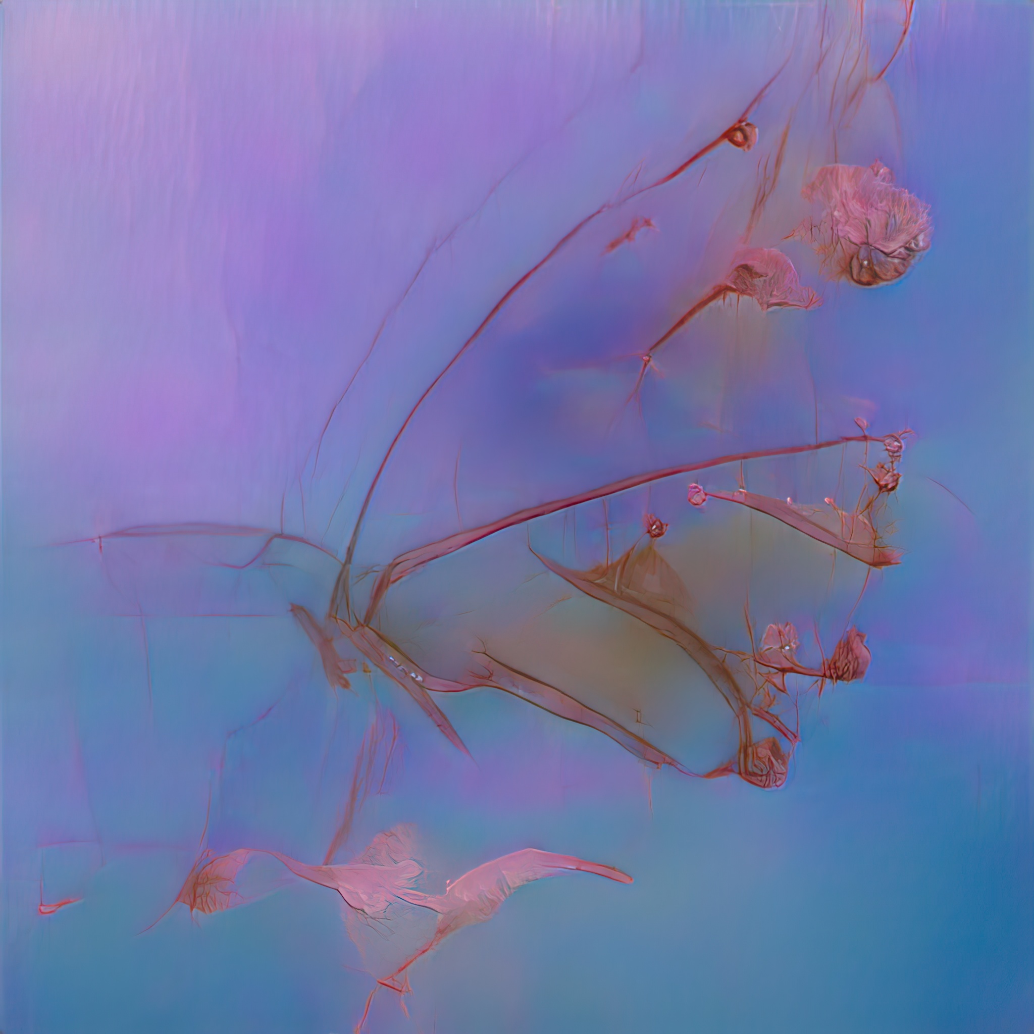Emergent Finale 00122