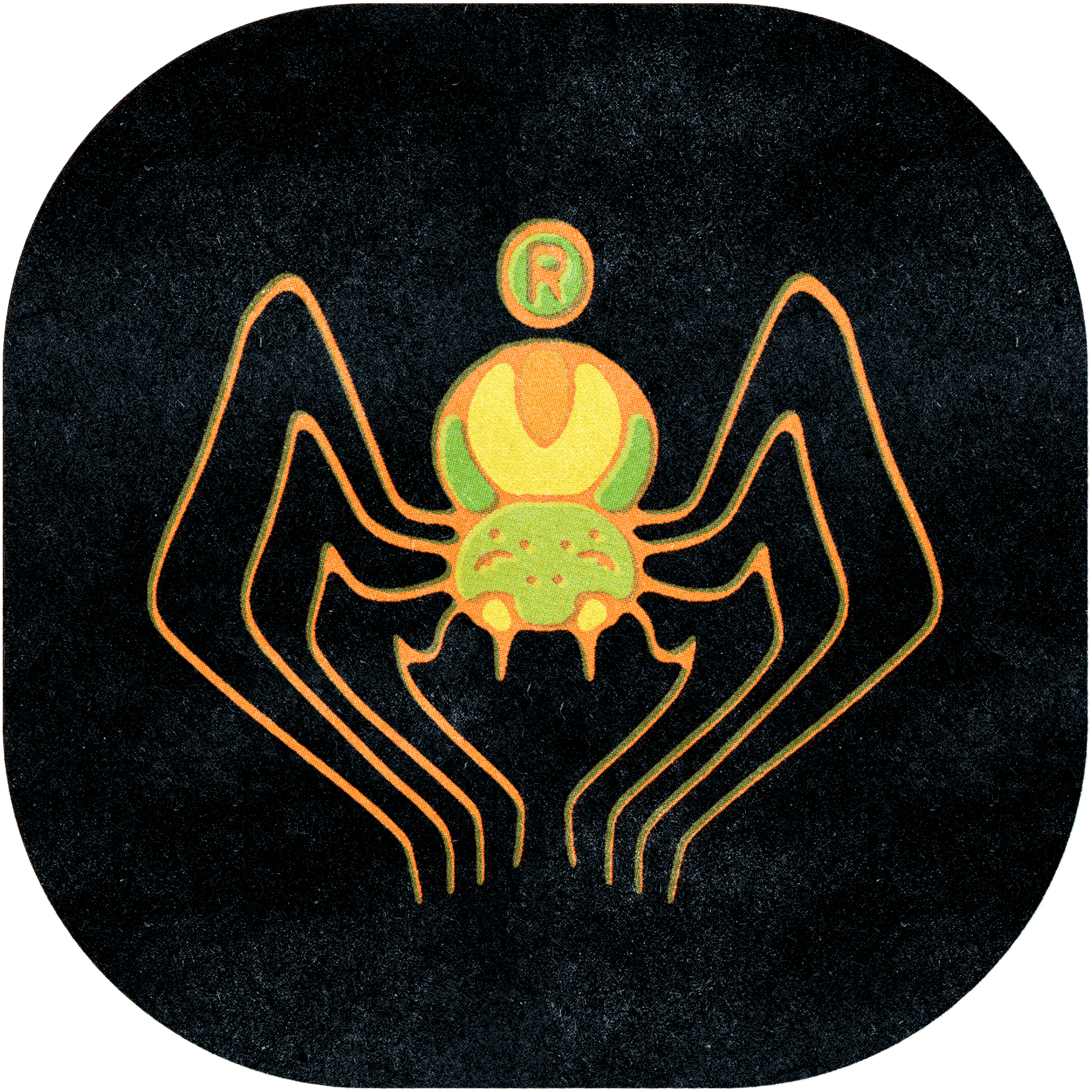 GIANT ORB SPIDER 008