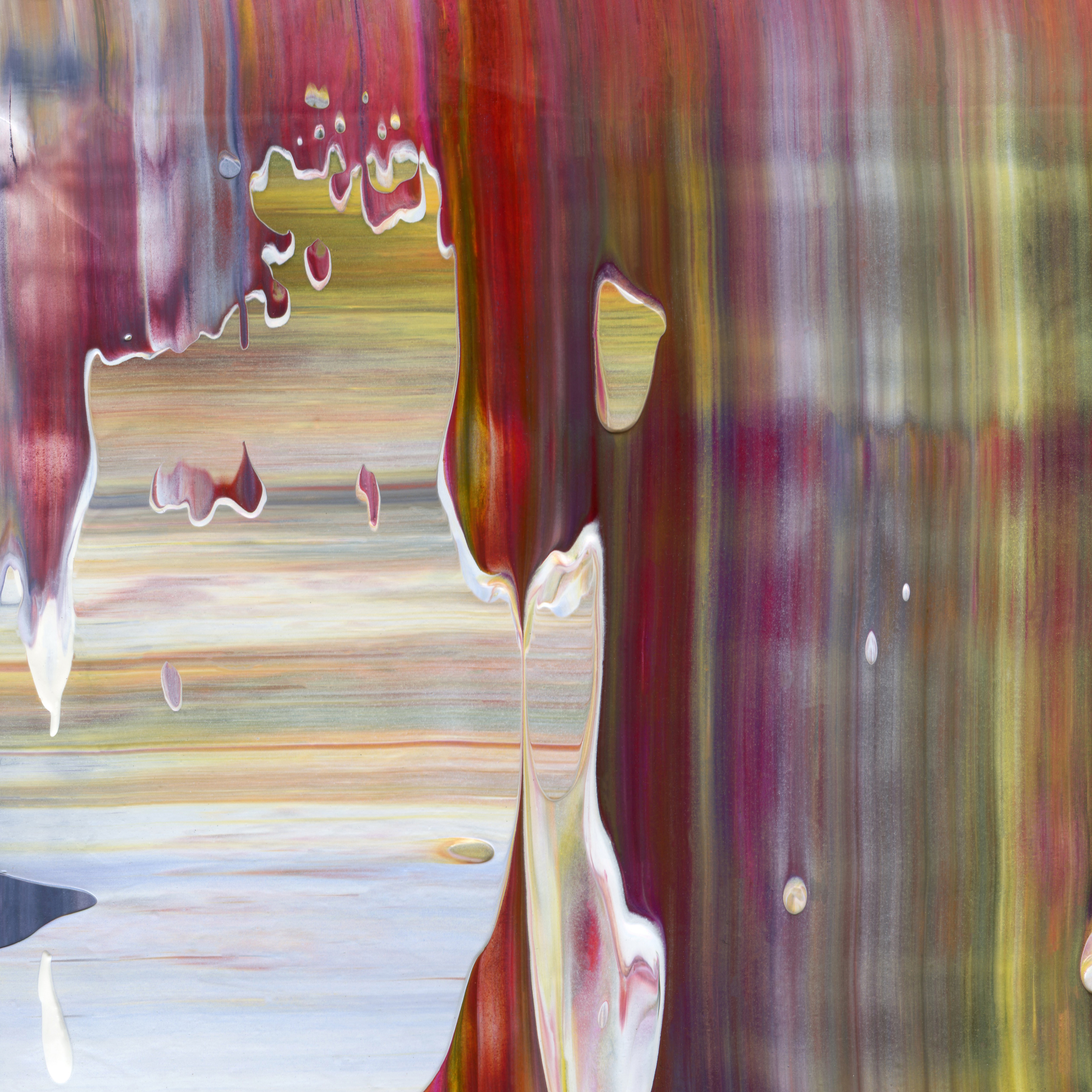 Skydiving with Icarus A1