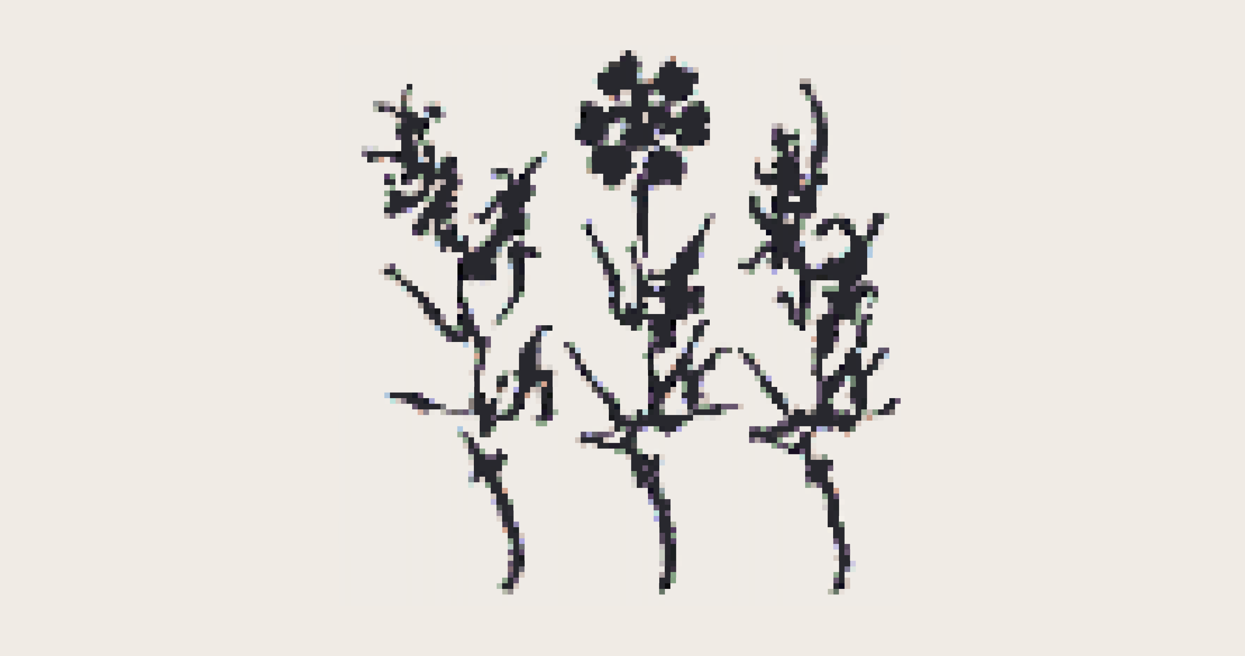 flowers for your desktop