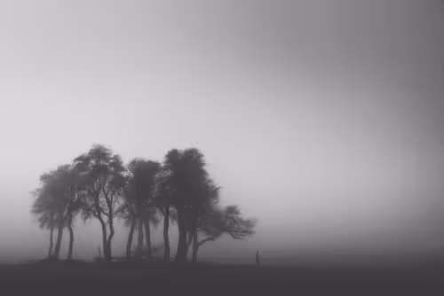 In To The Light 13/24