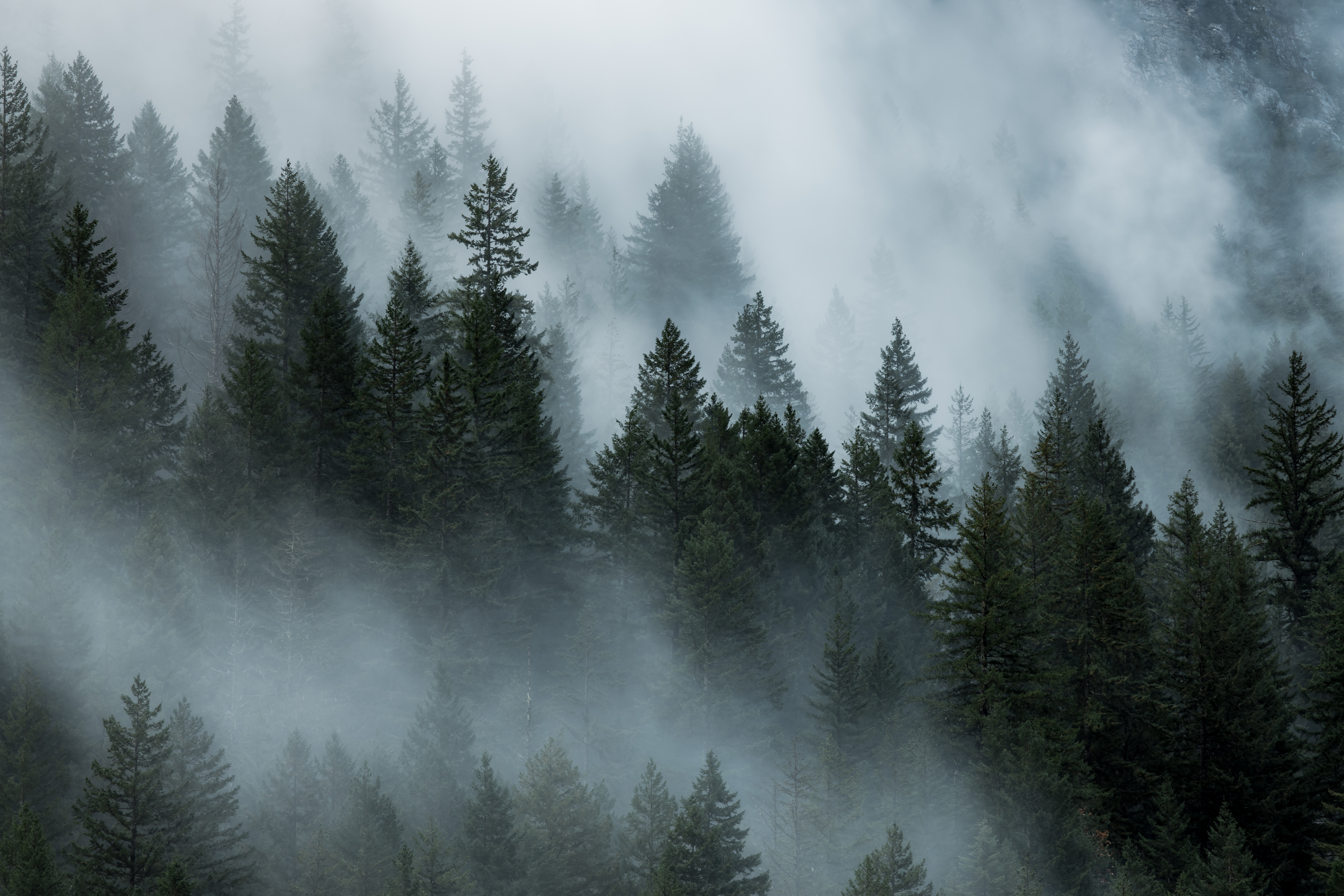 Cascade Clouds