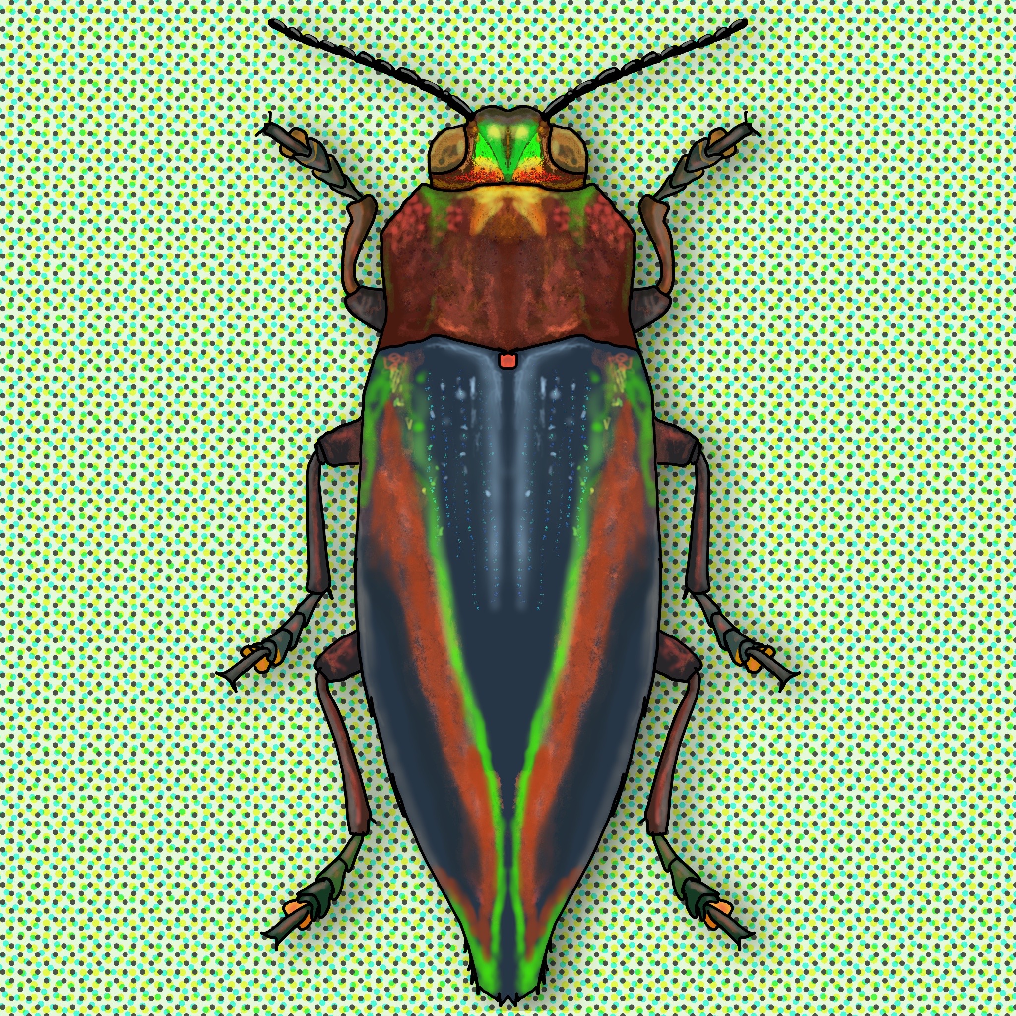 Meet the Beetles #005