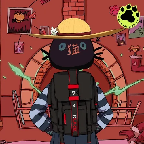 Black In Back Kat#3856