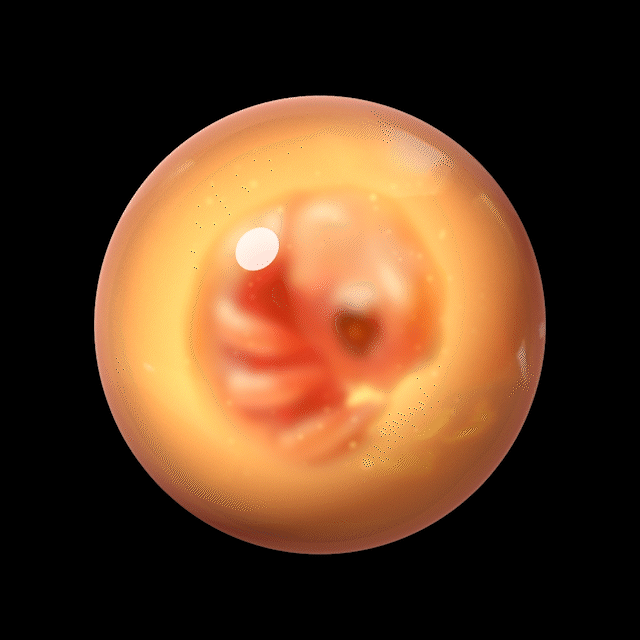 DuskBreakers Gribble Egg #1924