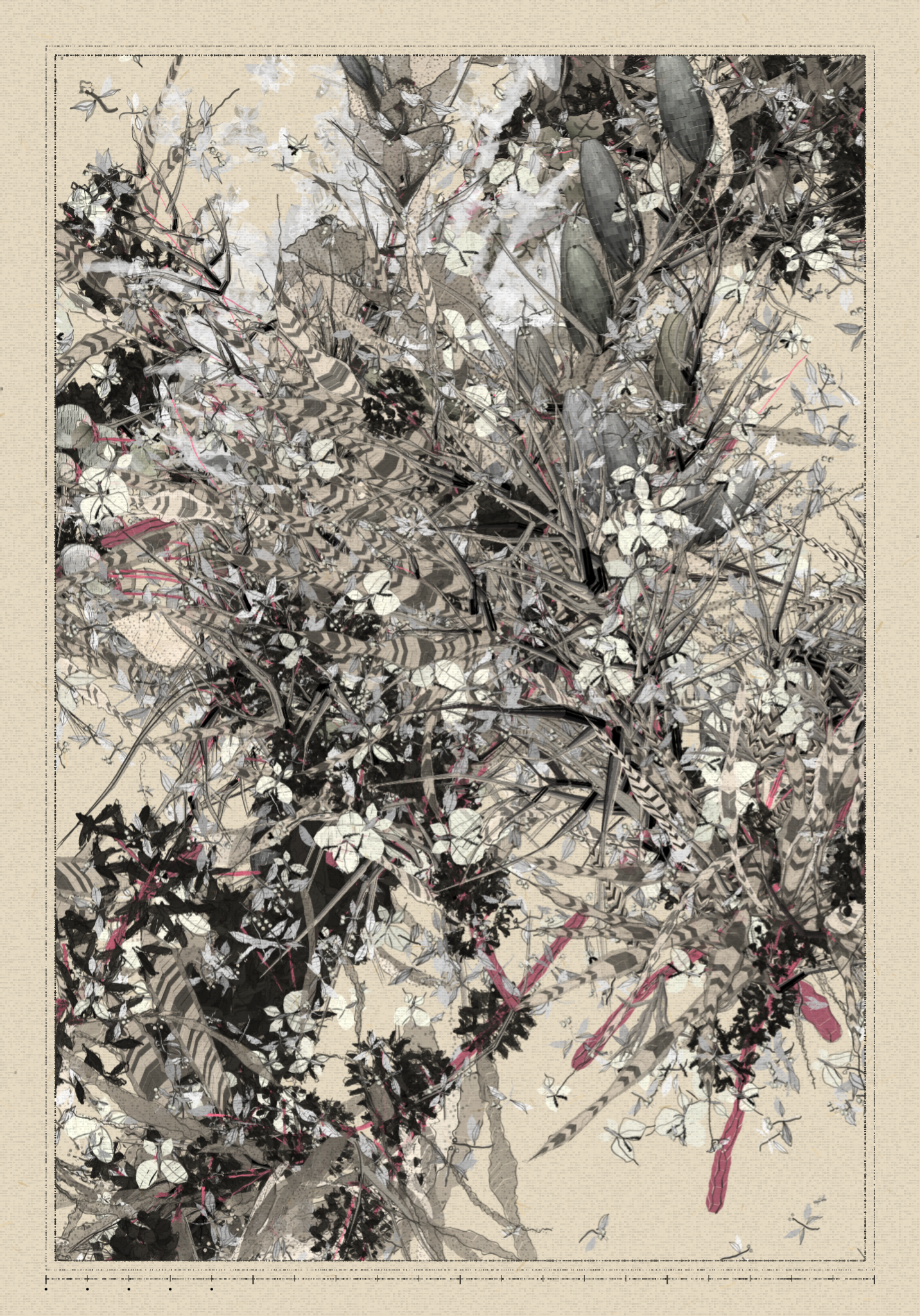 Polypaths | 植徑集 #636