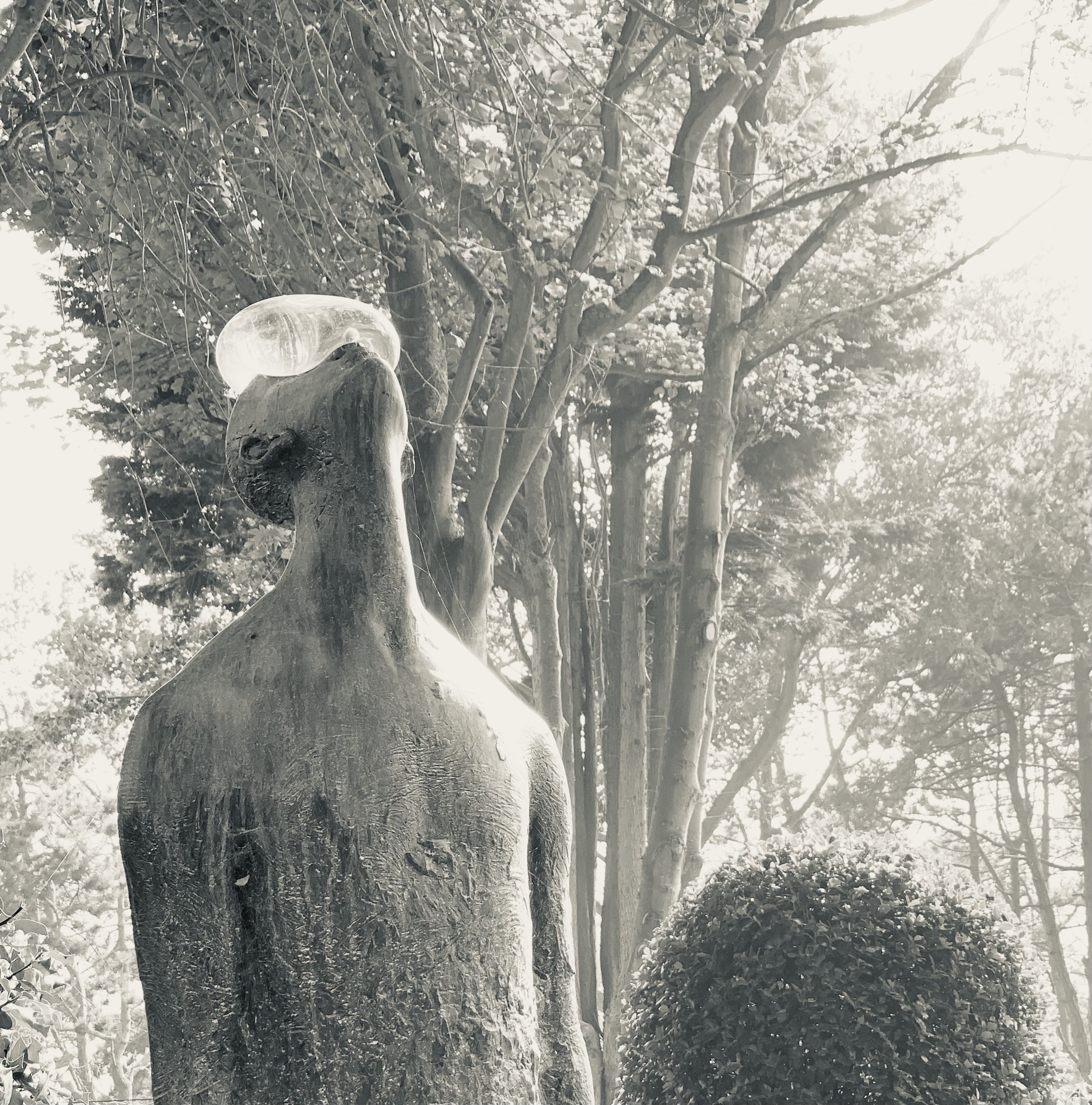 🚶‍♂️💧🌳☀️