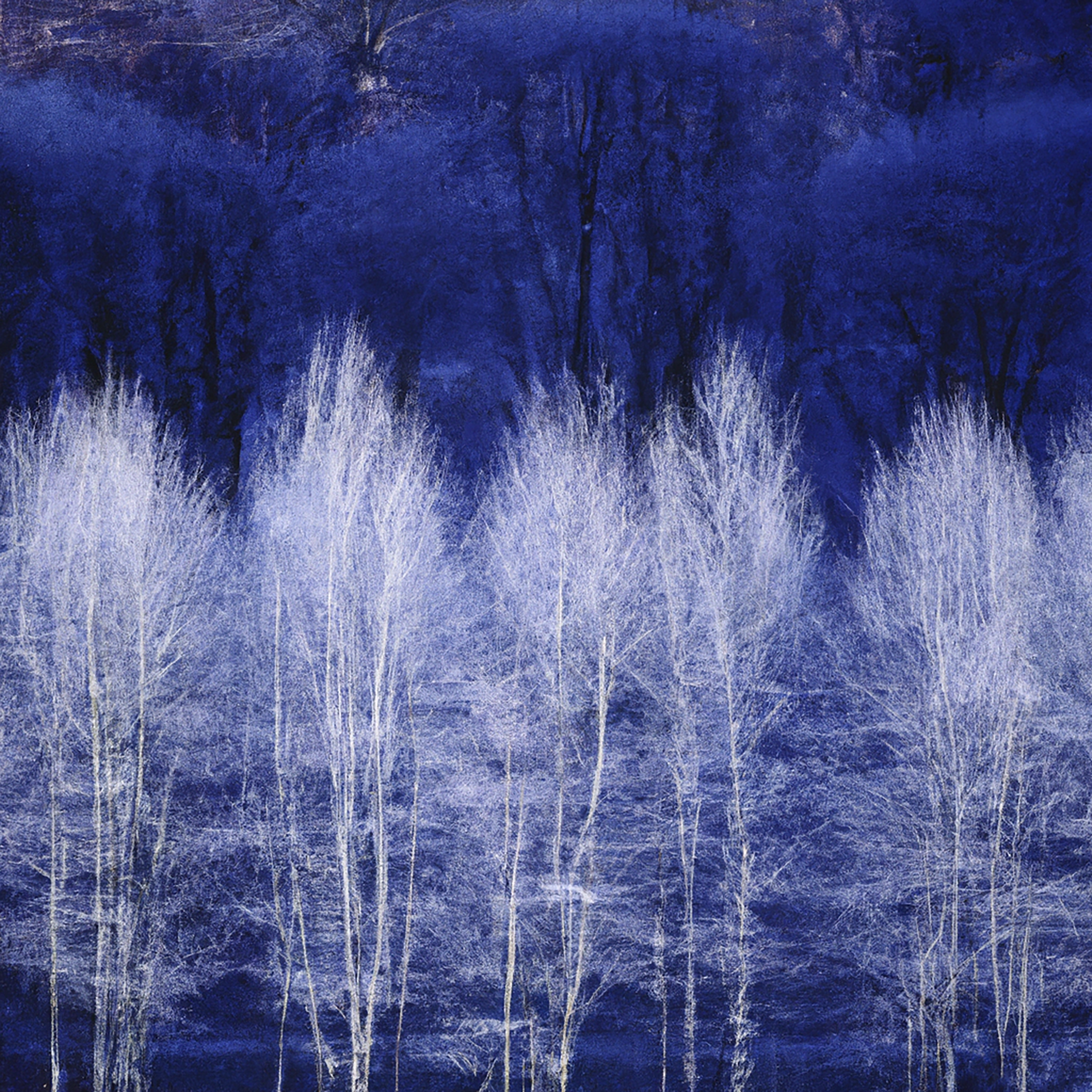Hiver #77