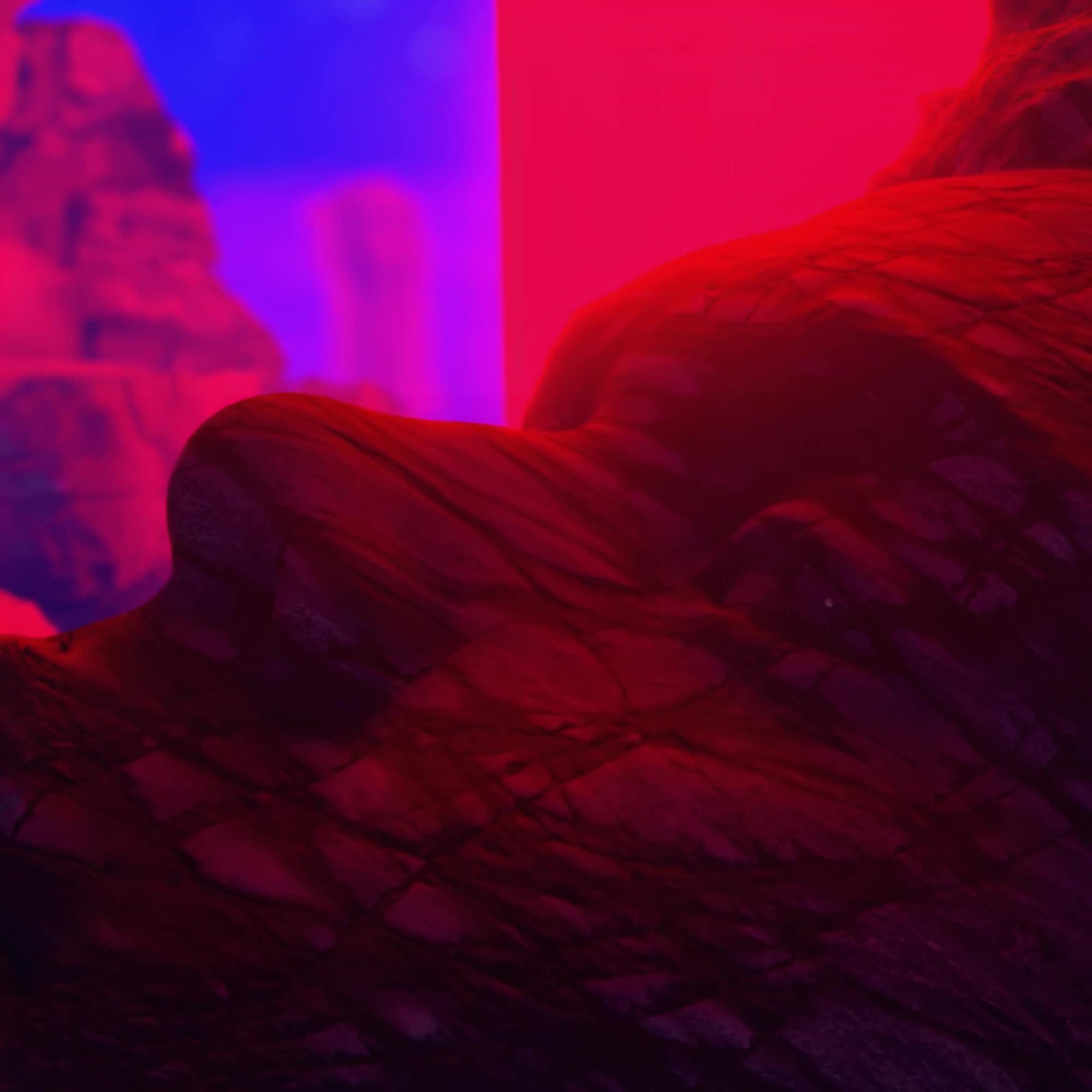 Artifact 001 #371/1749