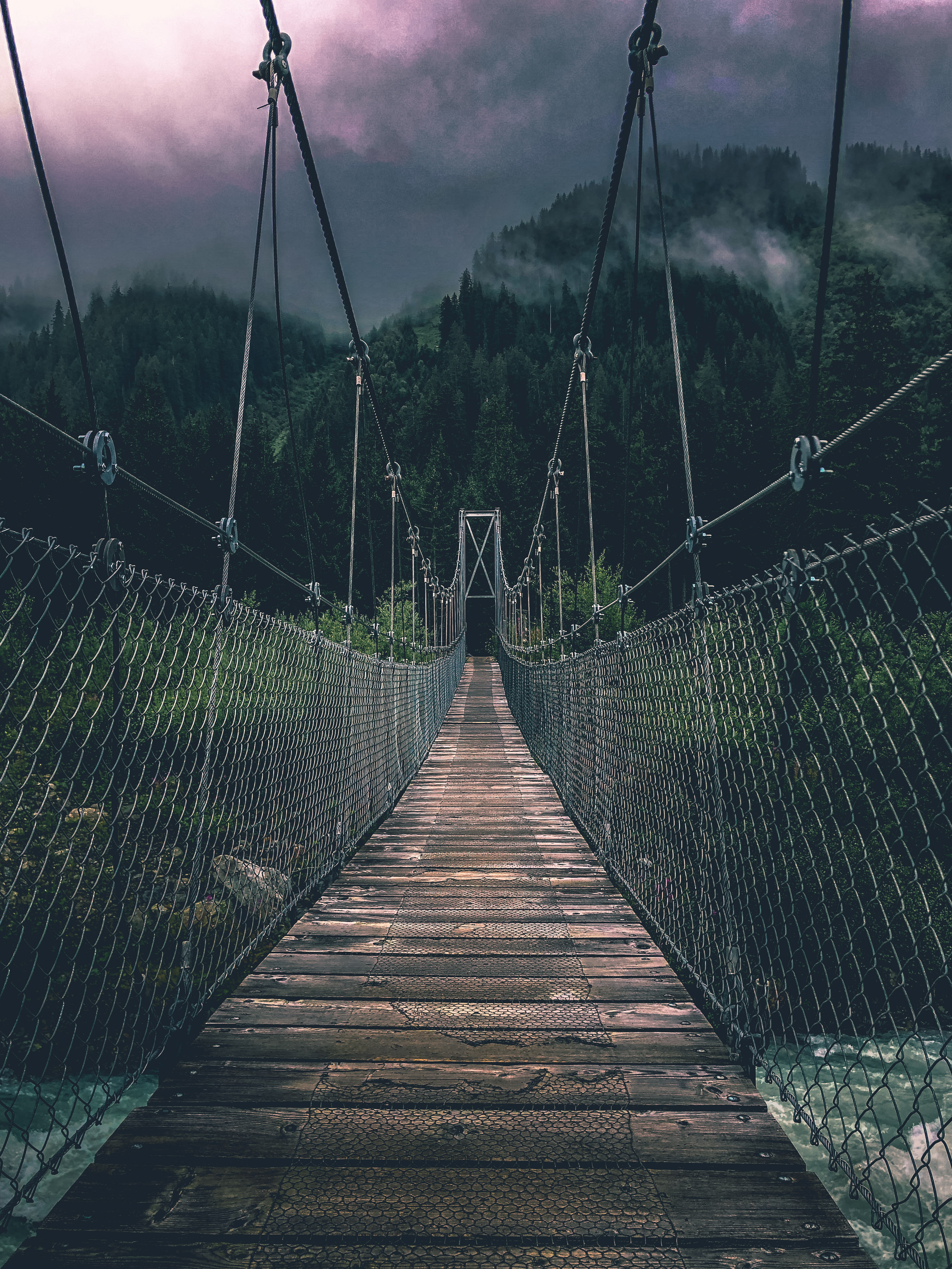 CS Community Collection #225