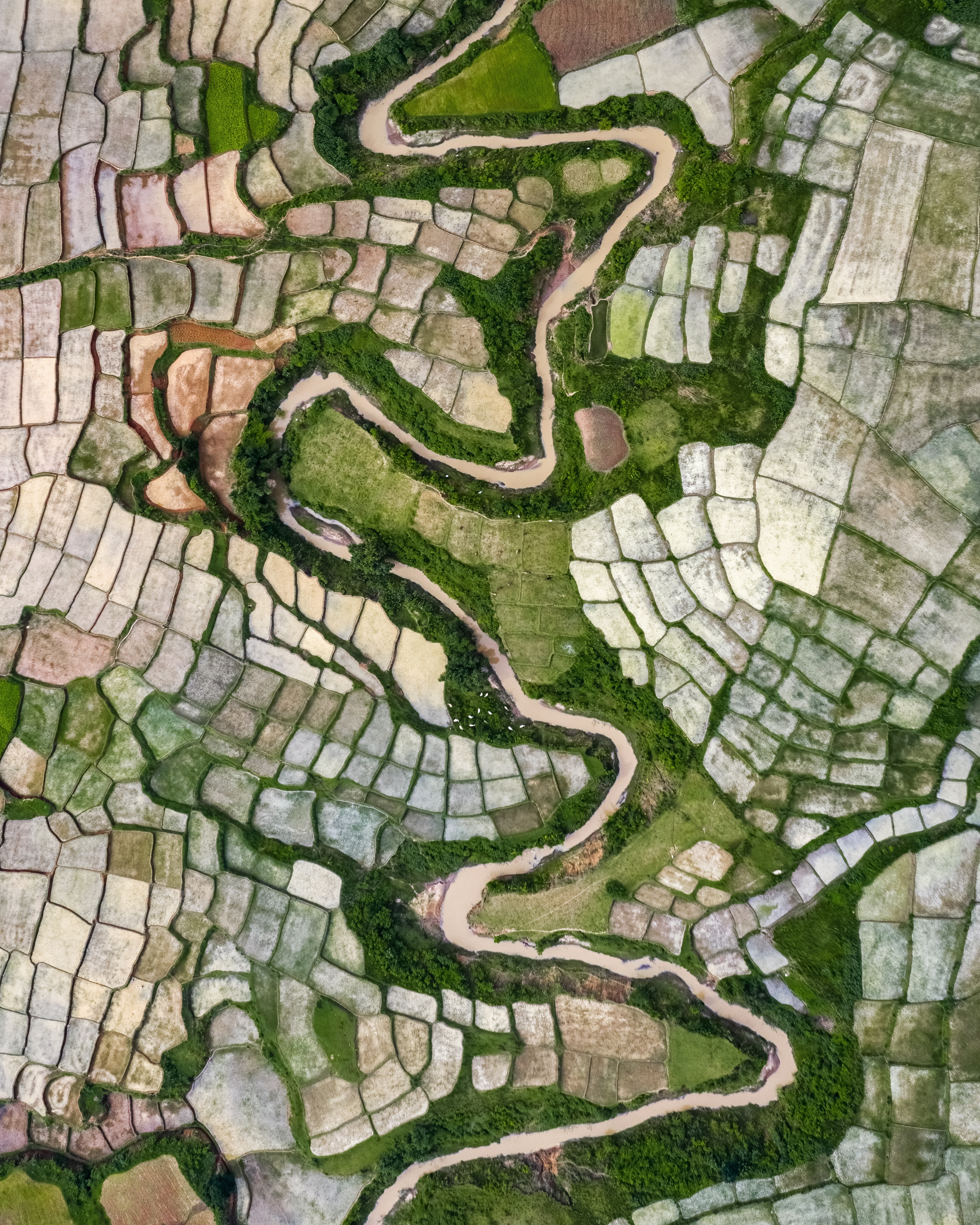 Montage from Above #20/29