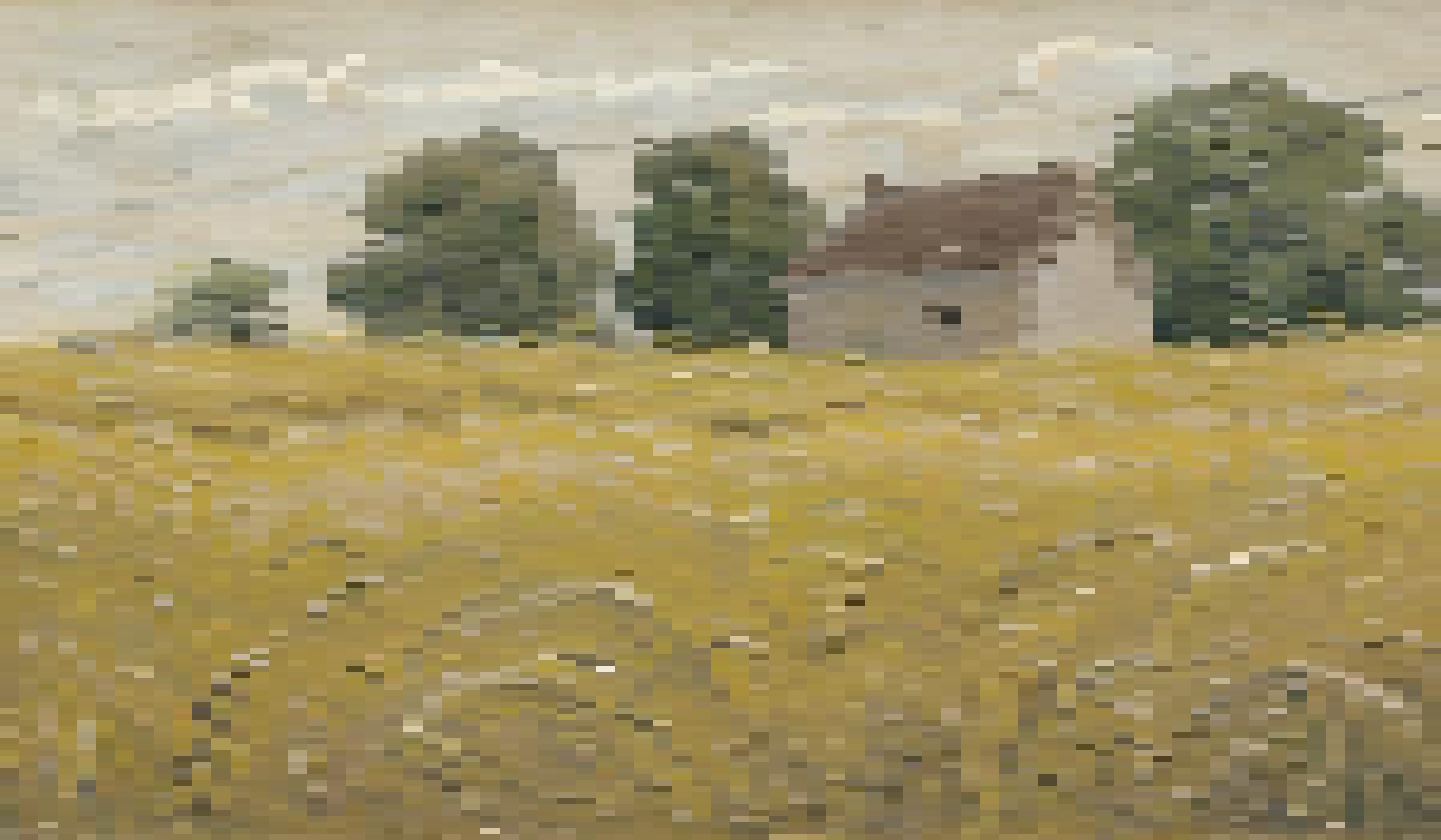 Clearview Wheat Farm