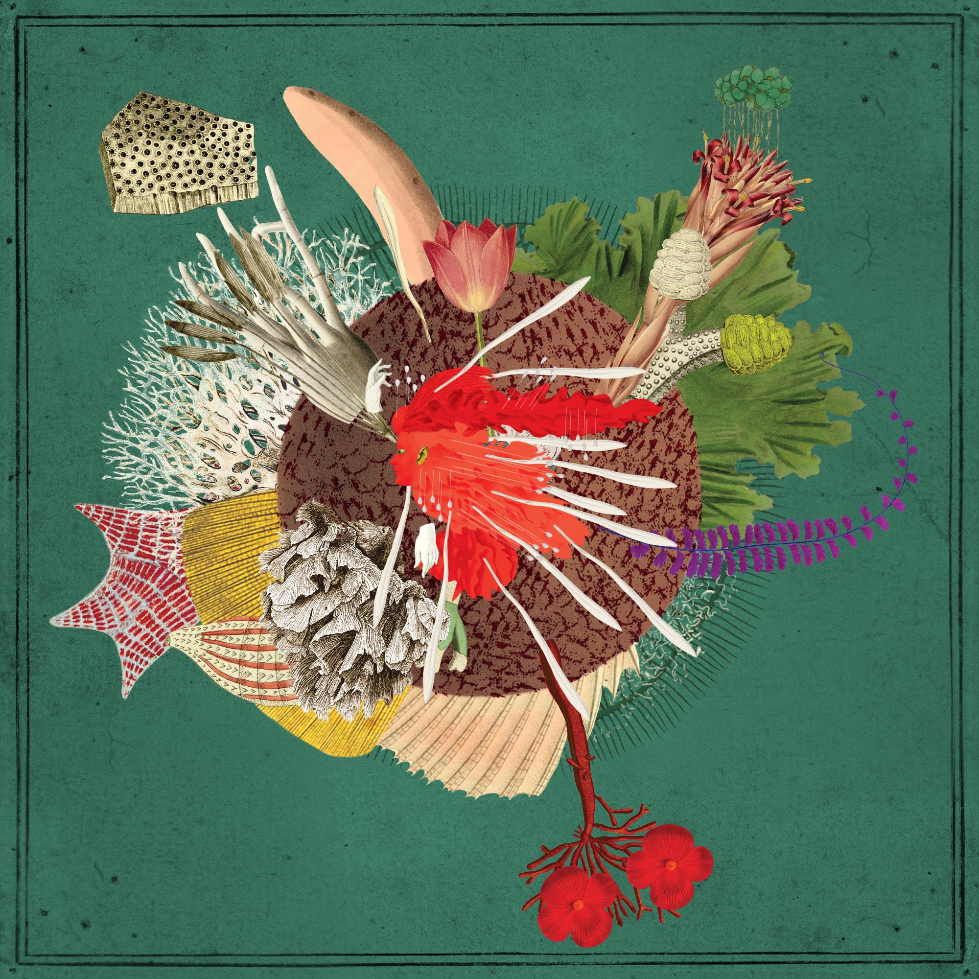 Preserved Seed #571478868