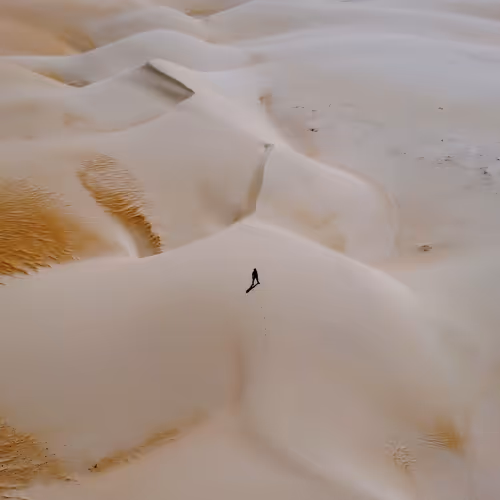 Echoes of Fortitude