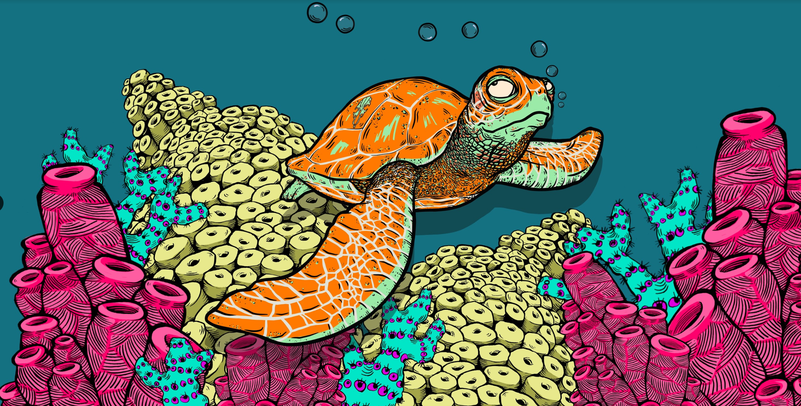 Turtledum of Honolua Bay