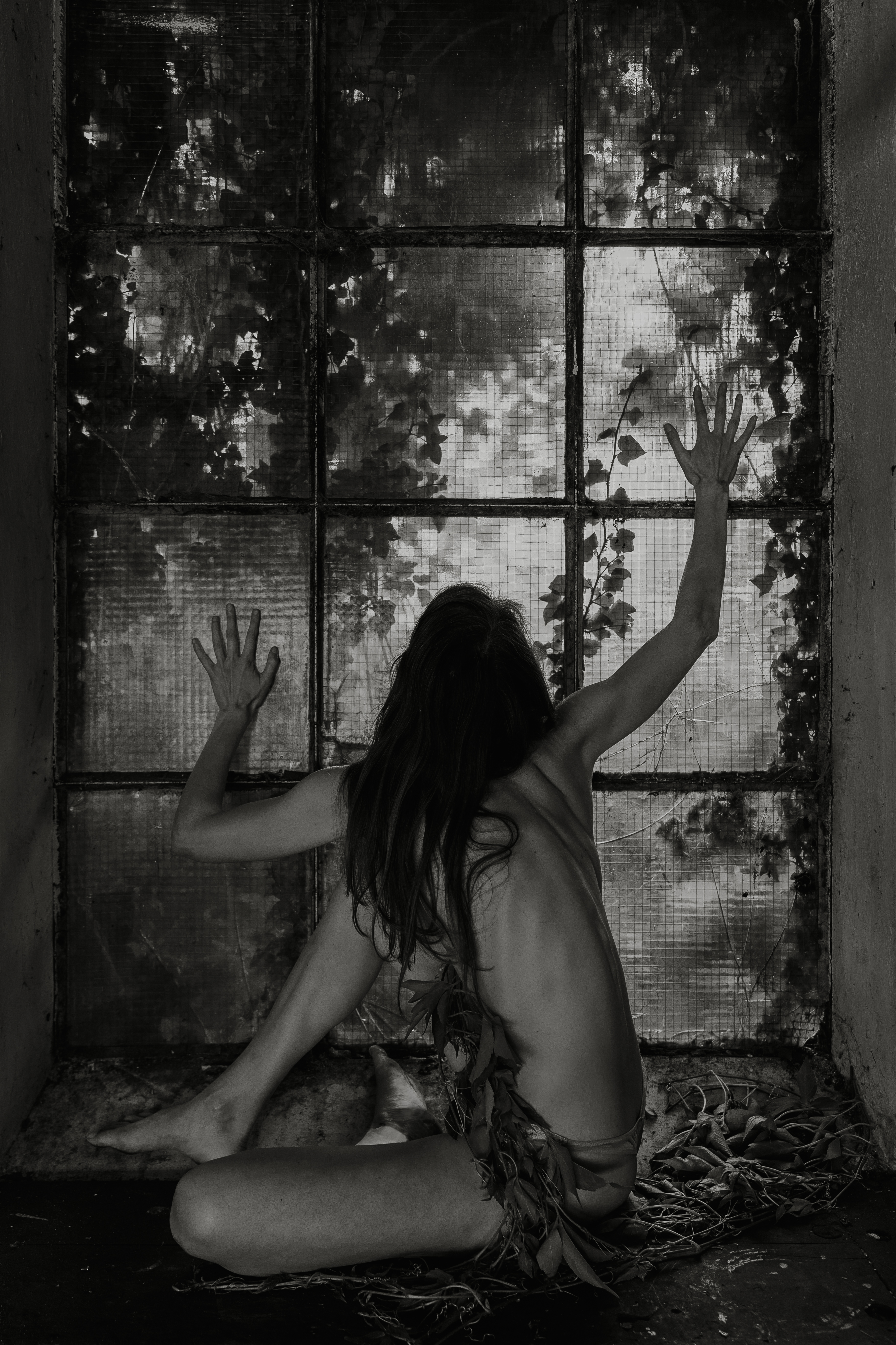 Nature's Remembrance 2