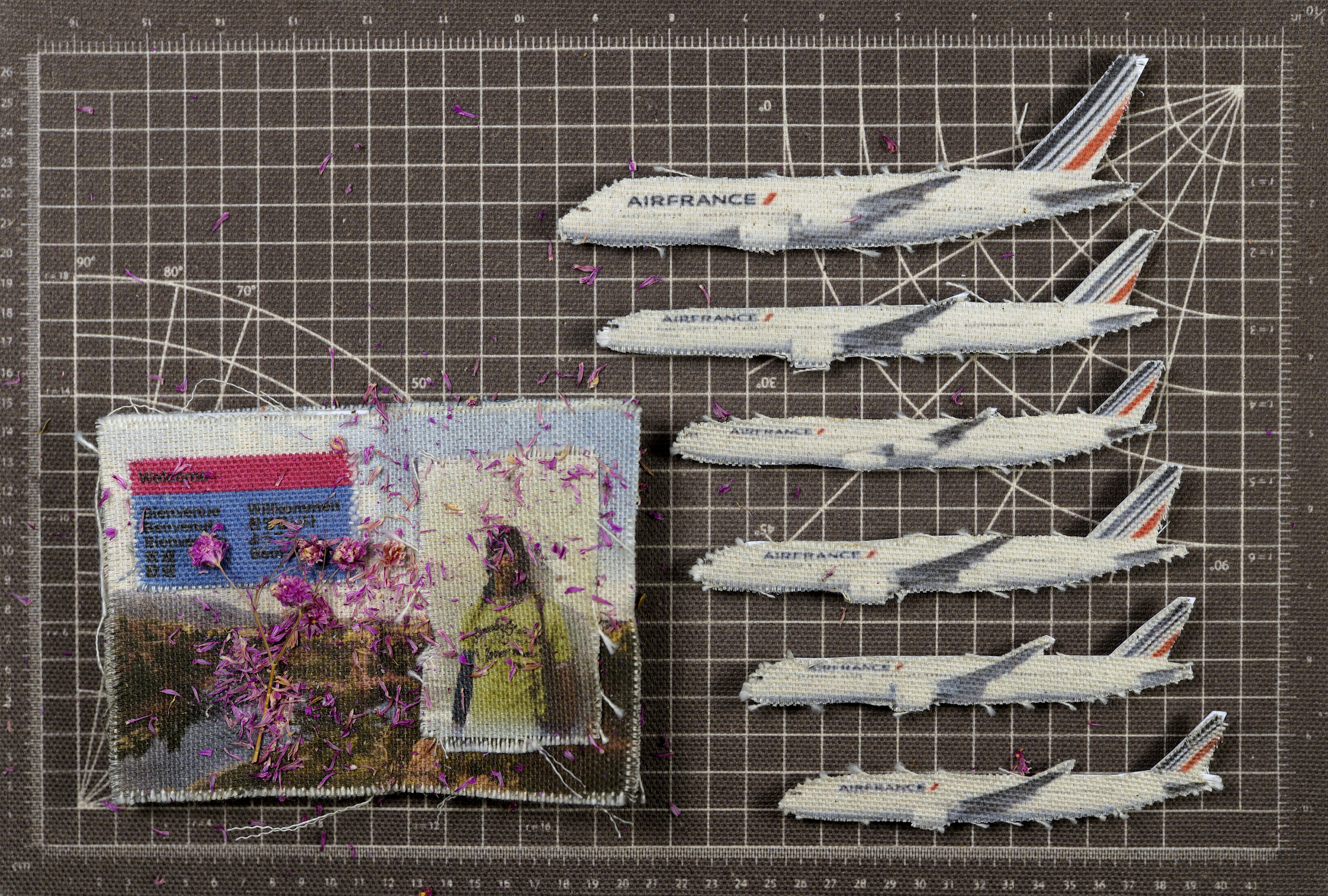 collage image-1 for the collection
