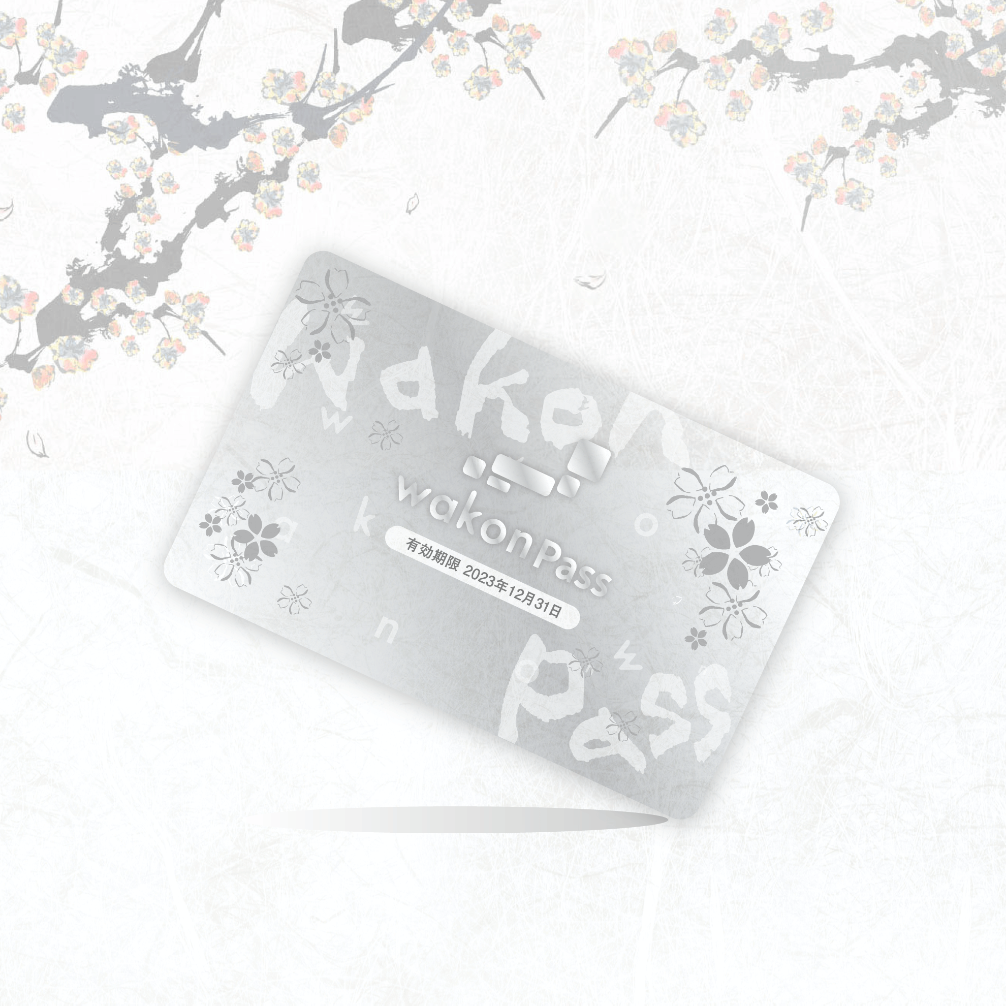 SILVER PASS #1724