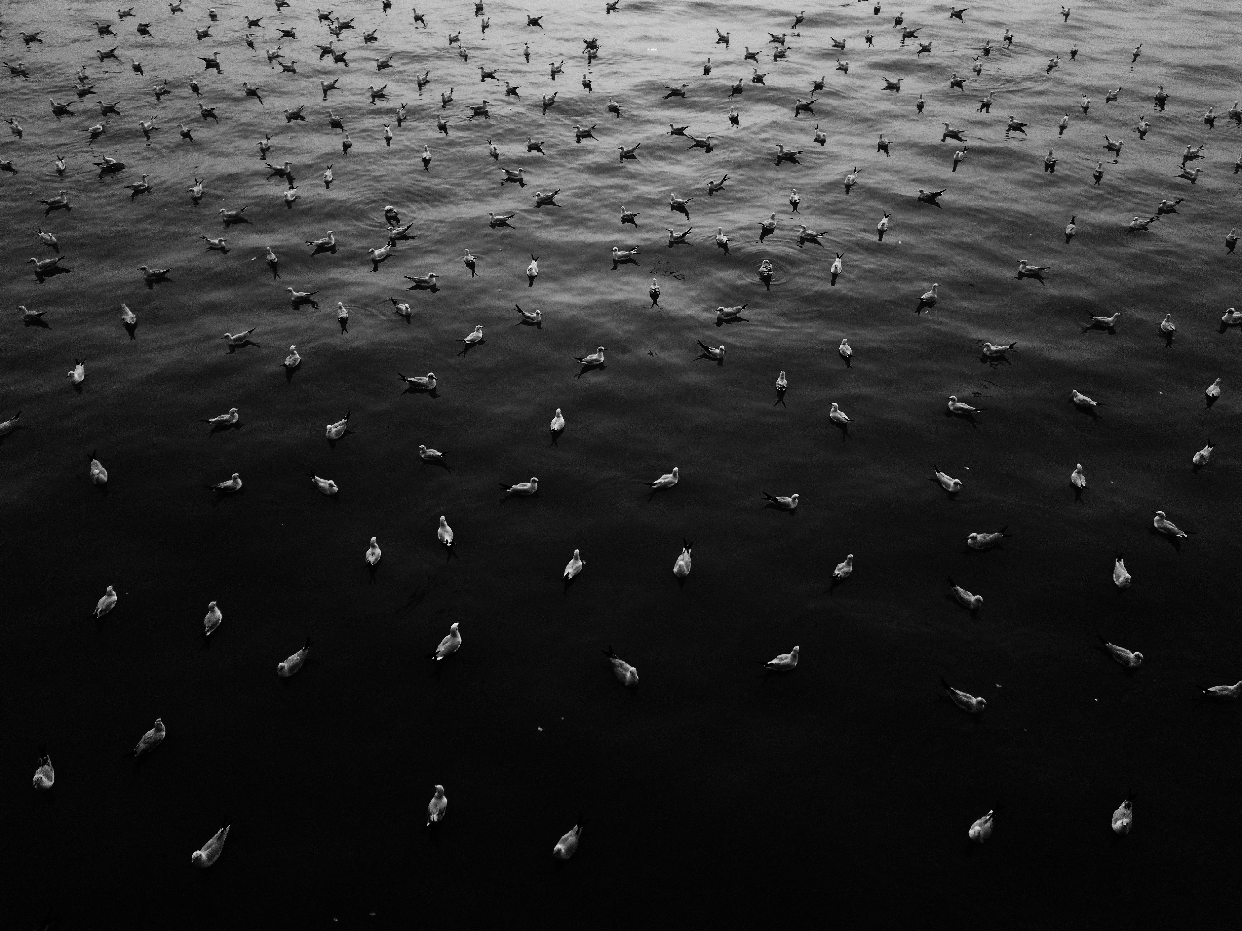 Ad Infinitum