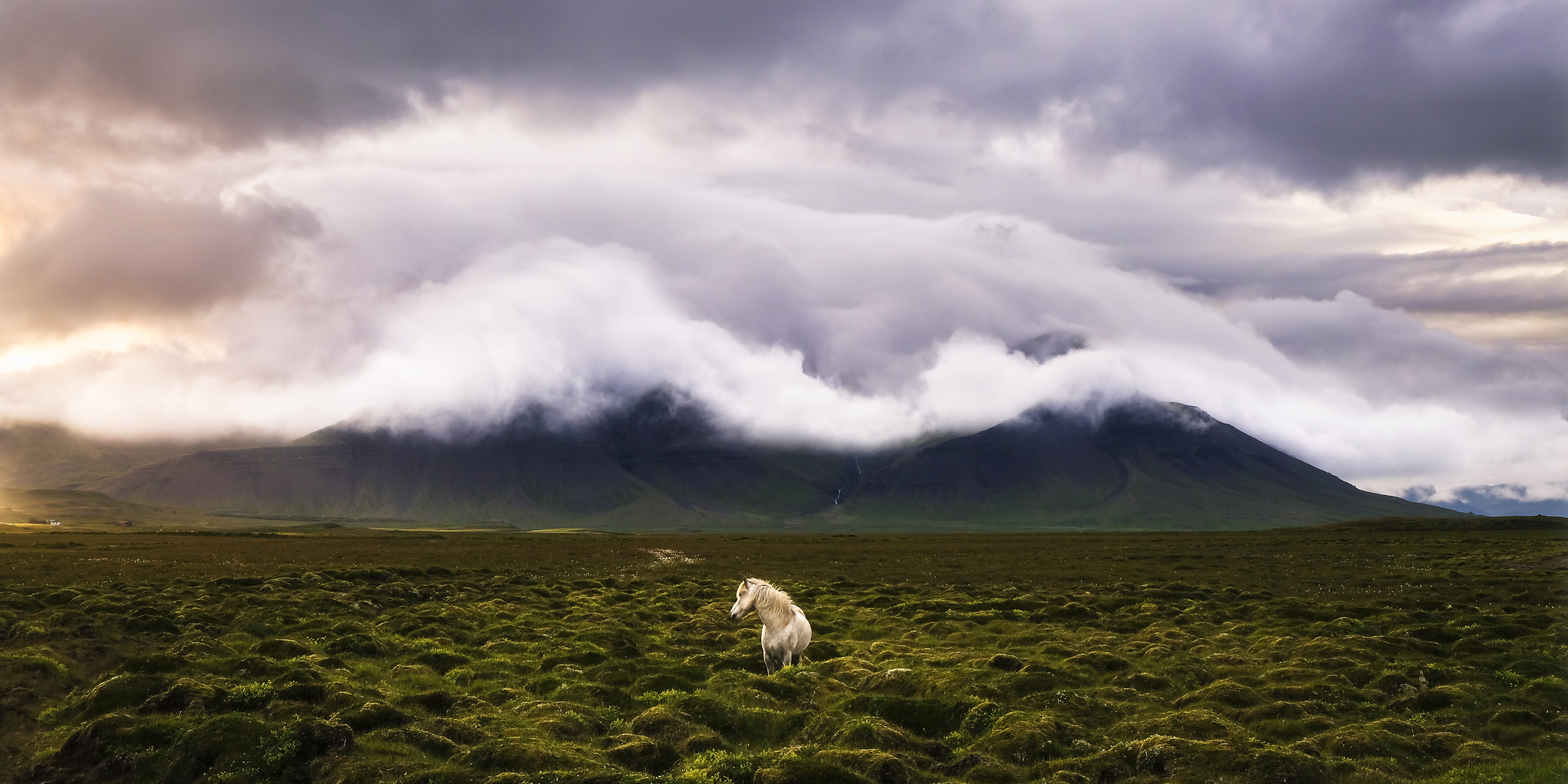 I Wish I Were a Unicorn