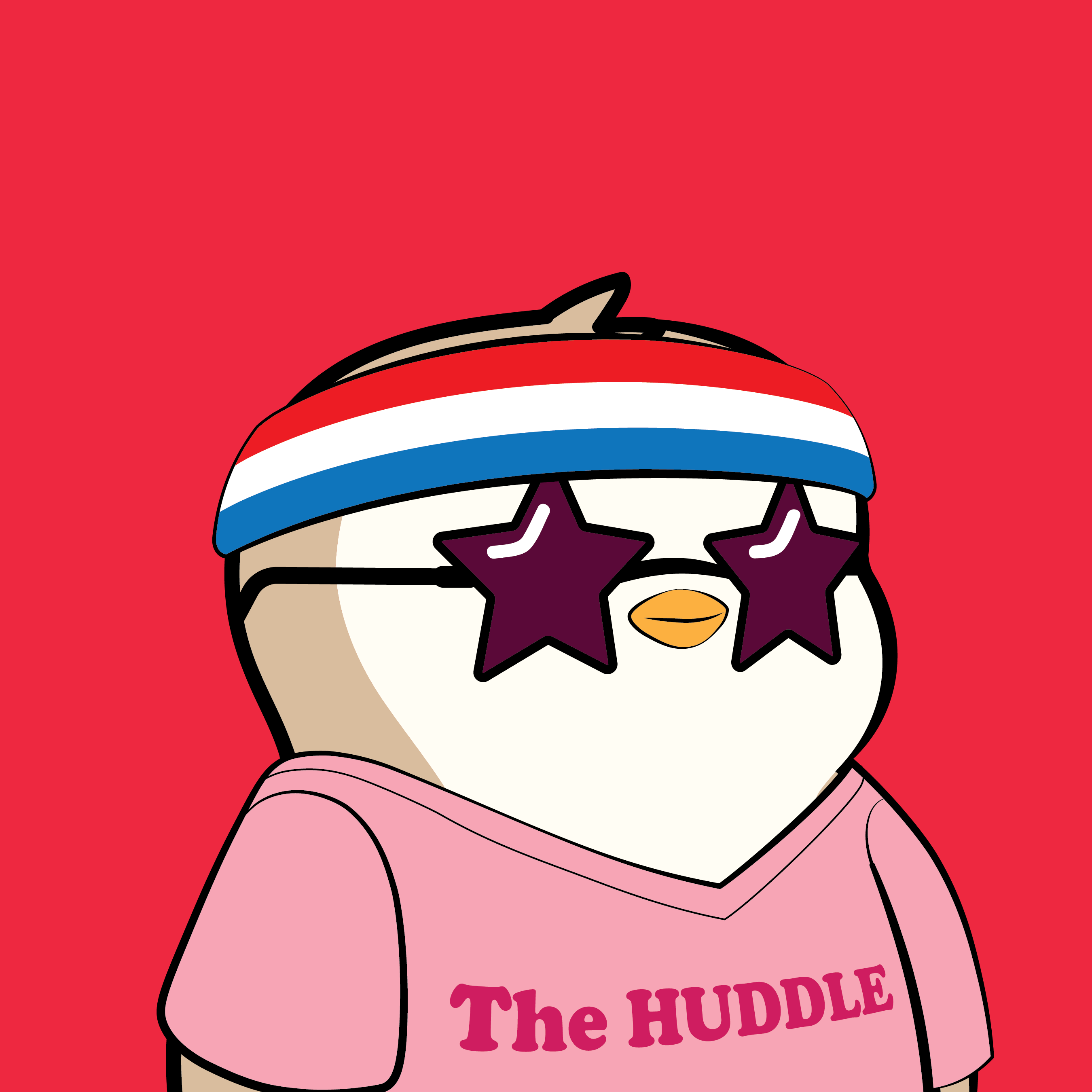 Pudgy #2456