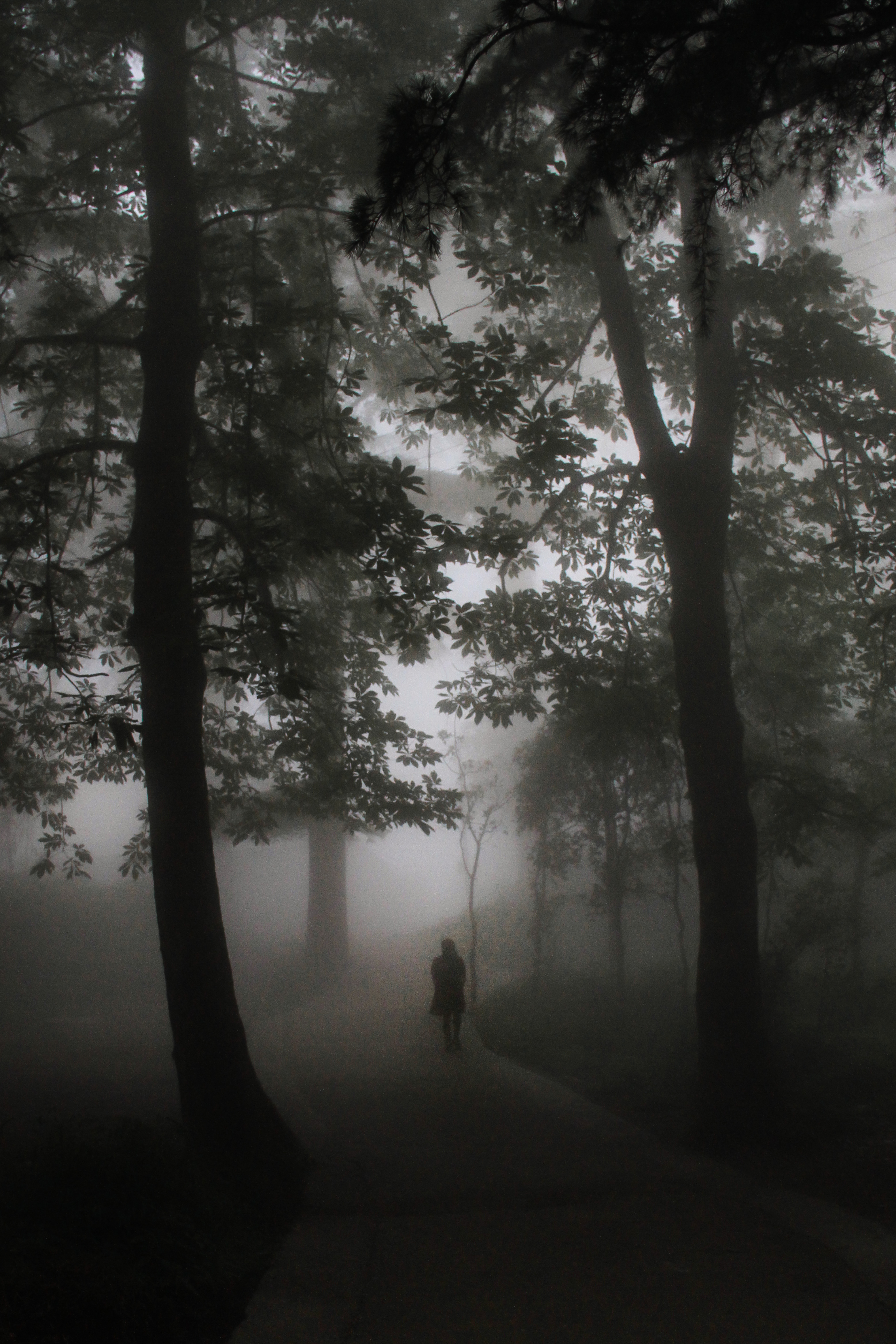 Lonely Girl, Big Bad World