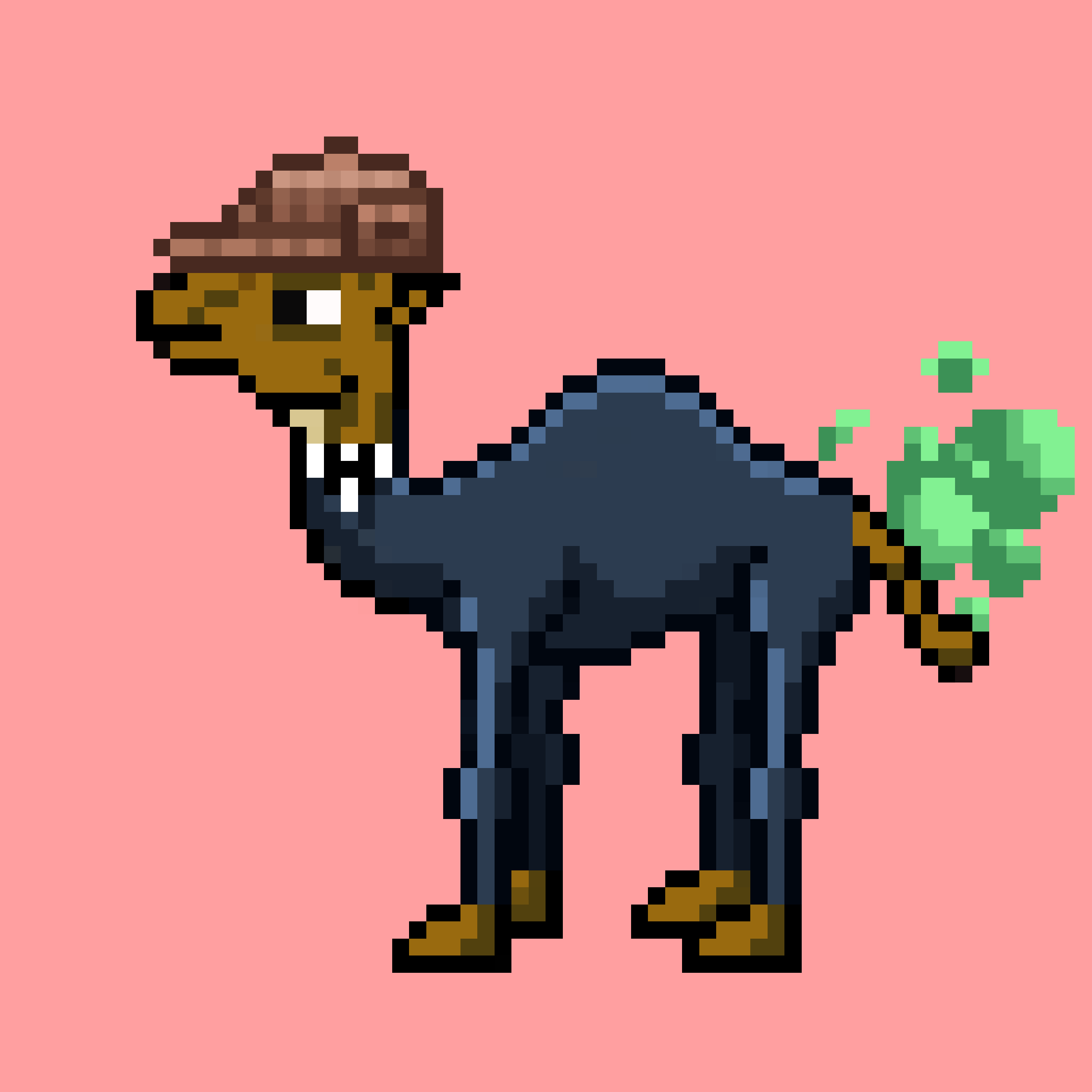 CryptoCamels #1699