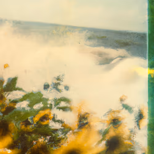 Tsunflower Chaos #133