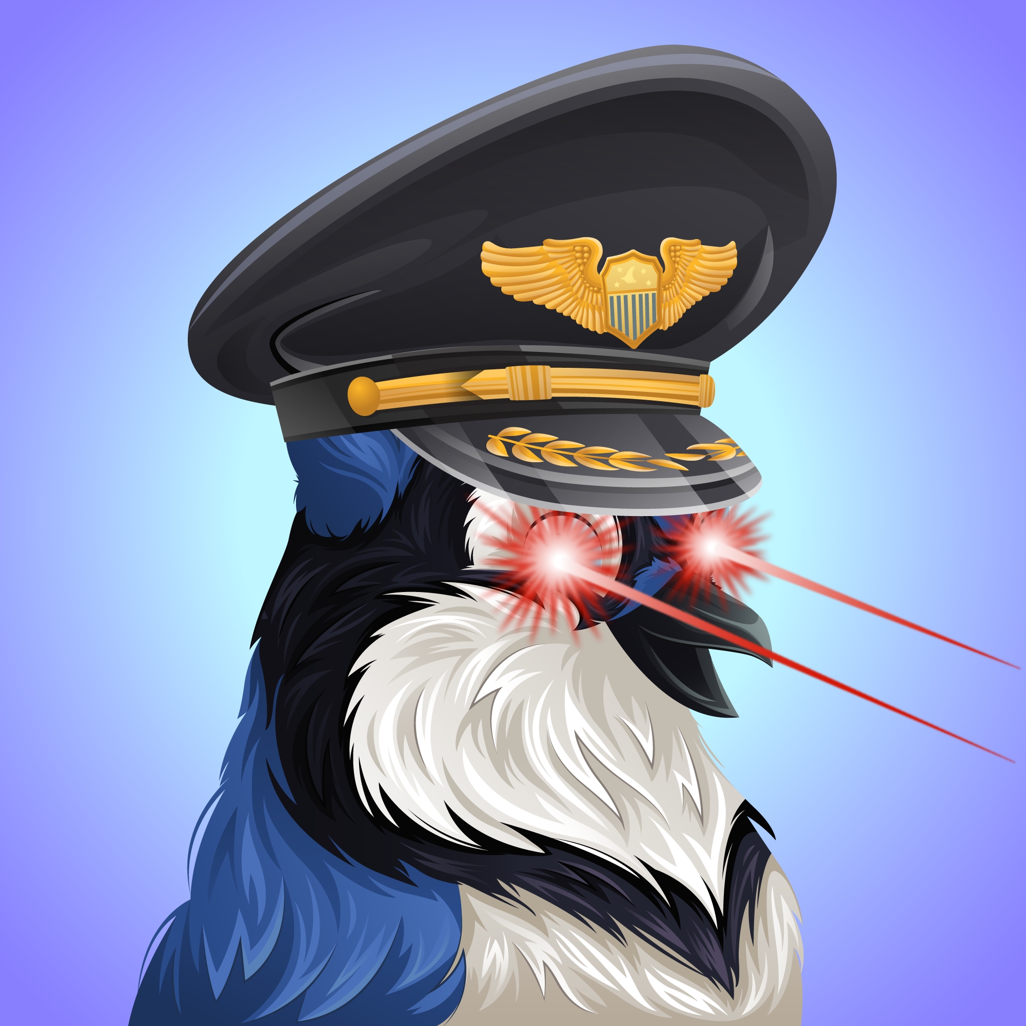 #2078 Bluejay
