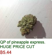 Silk Road Not Dead #310