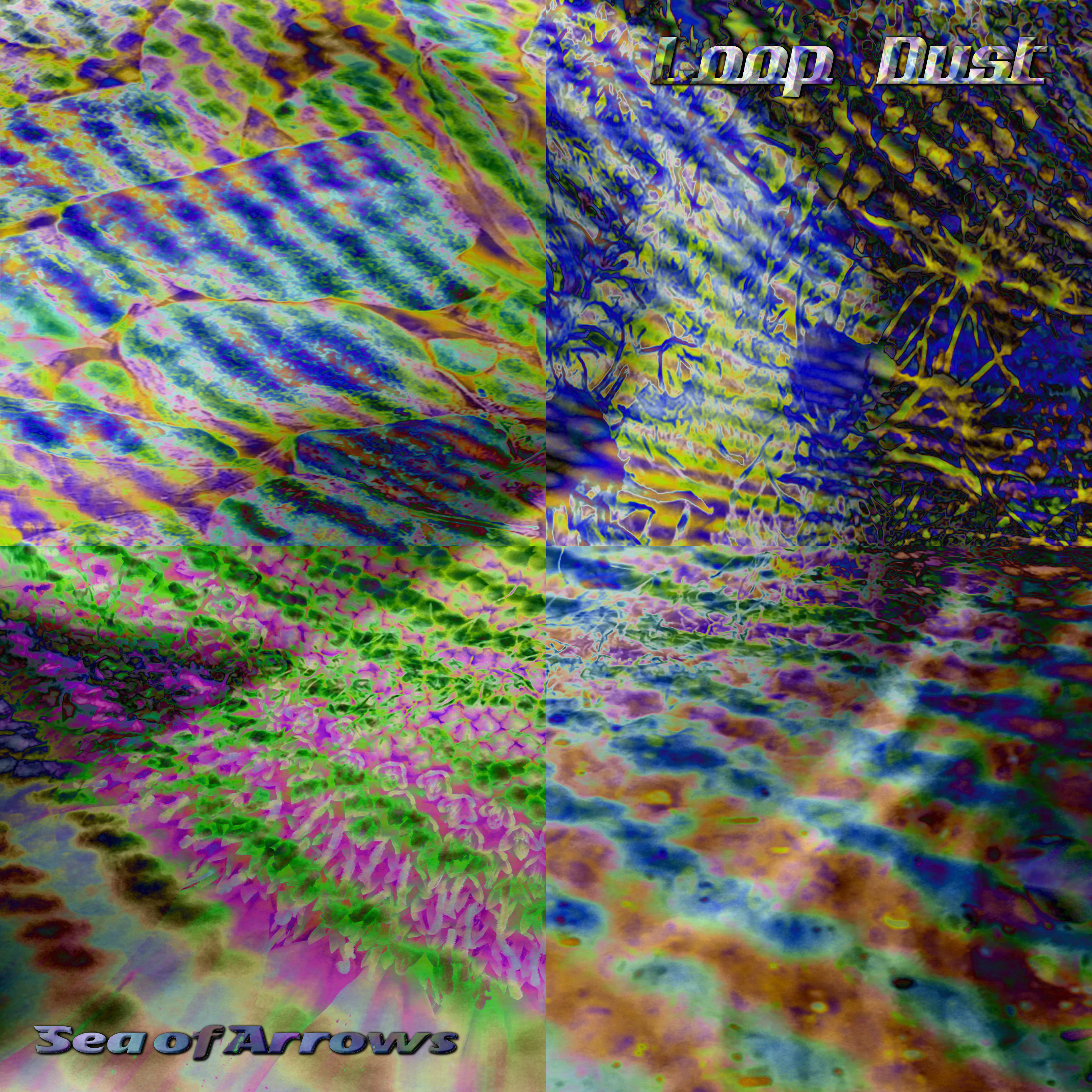 collage image-0 for the collection