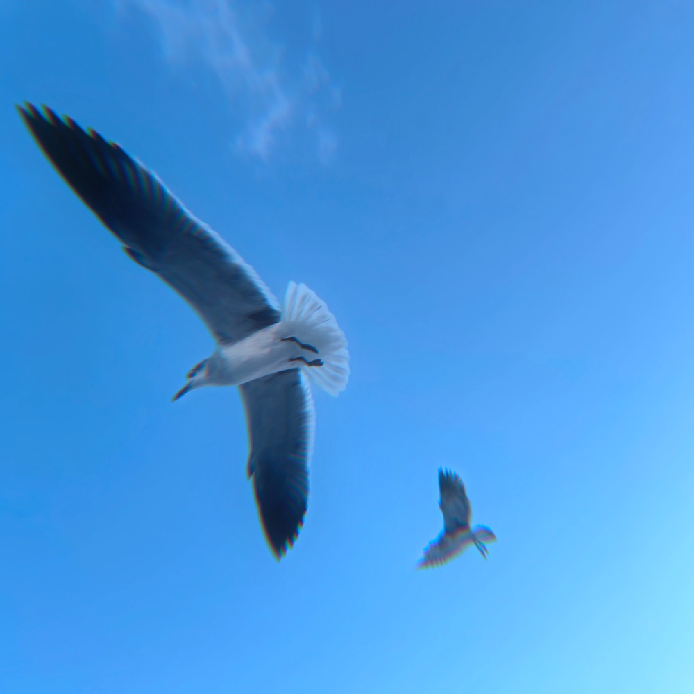 The Wizard of What #14