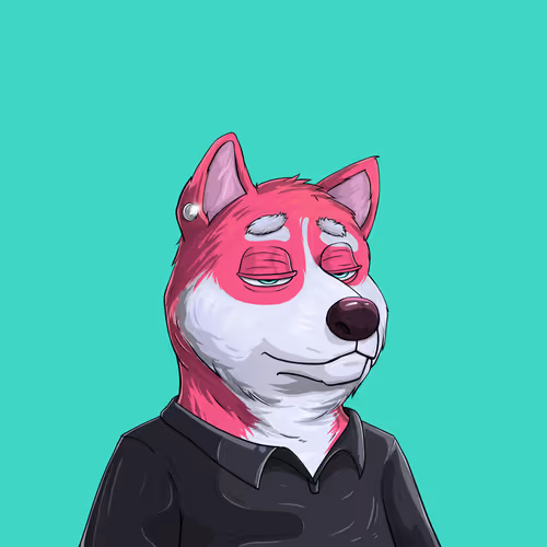 Shibe #1017