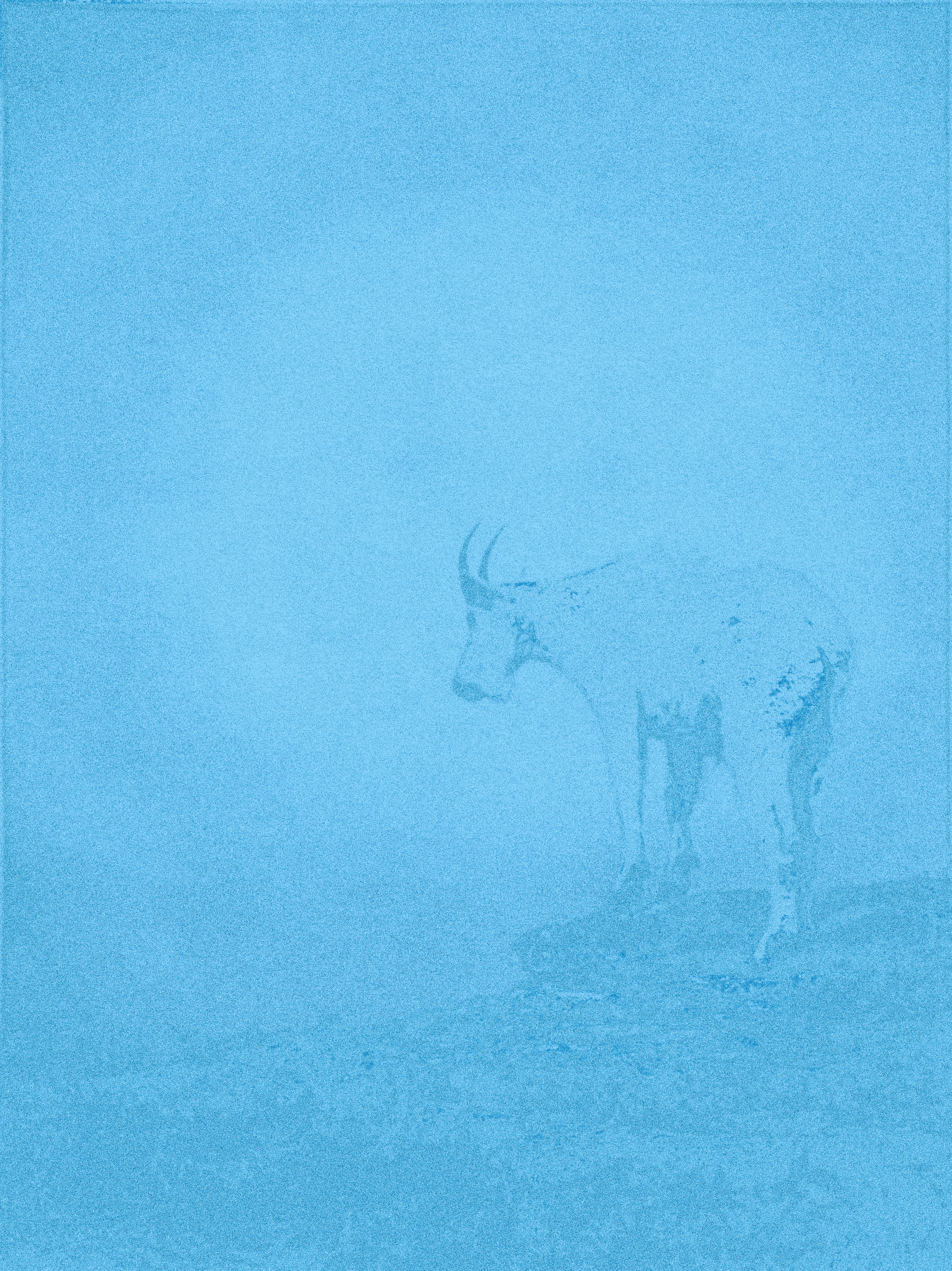 i still think of you often