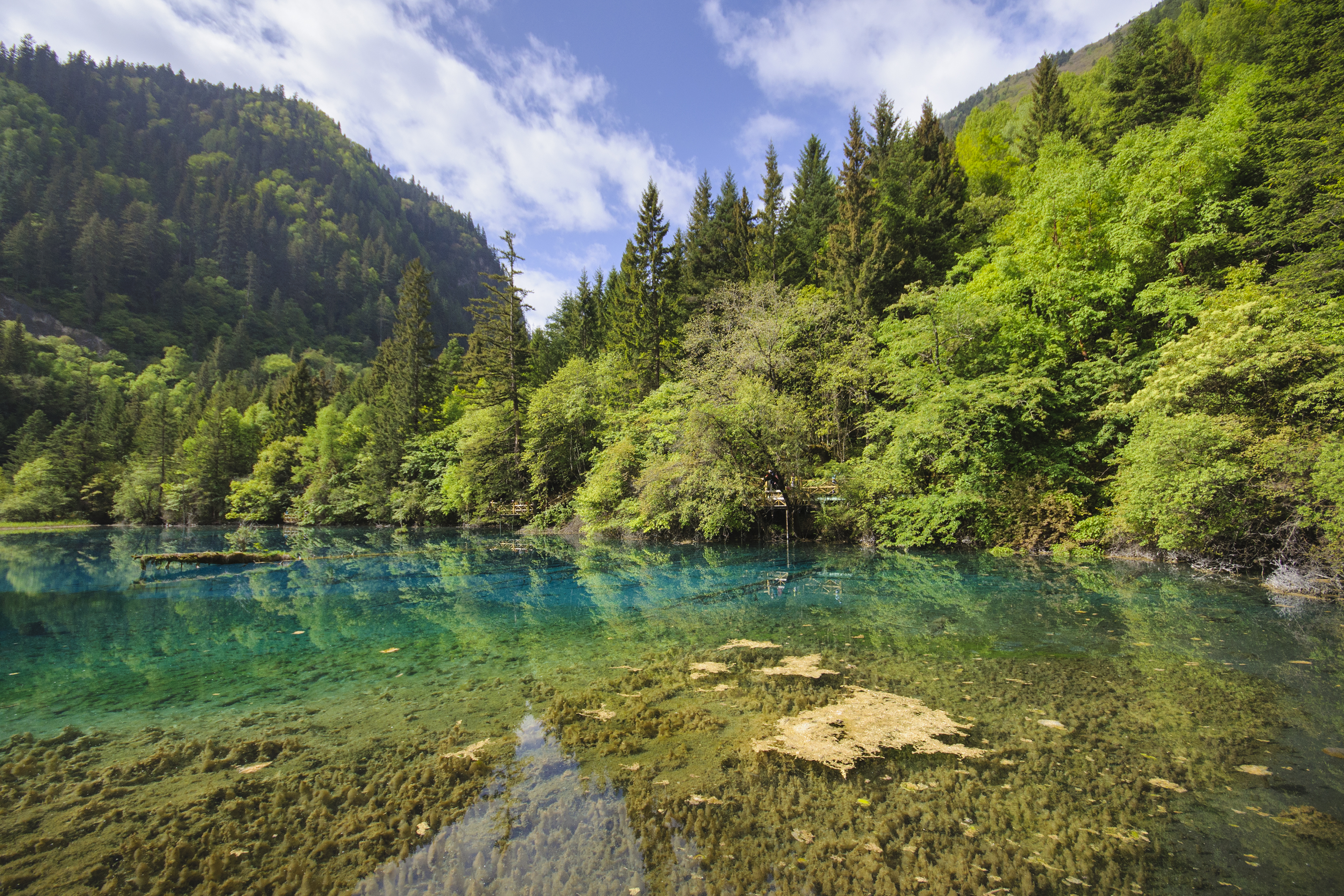 A Picture in Time #13