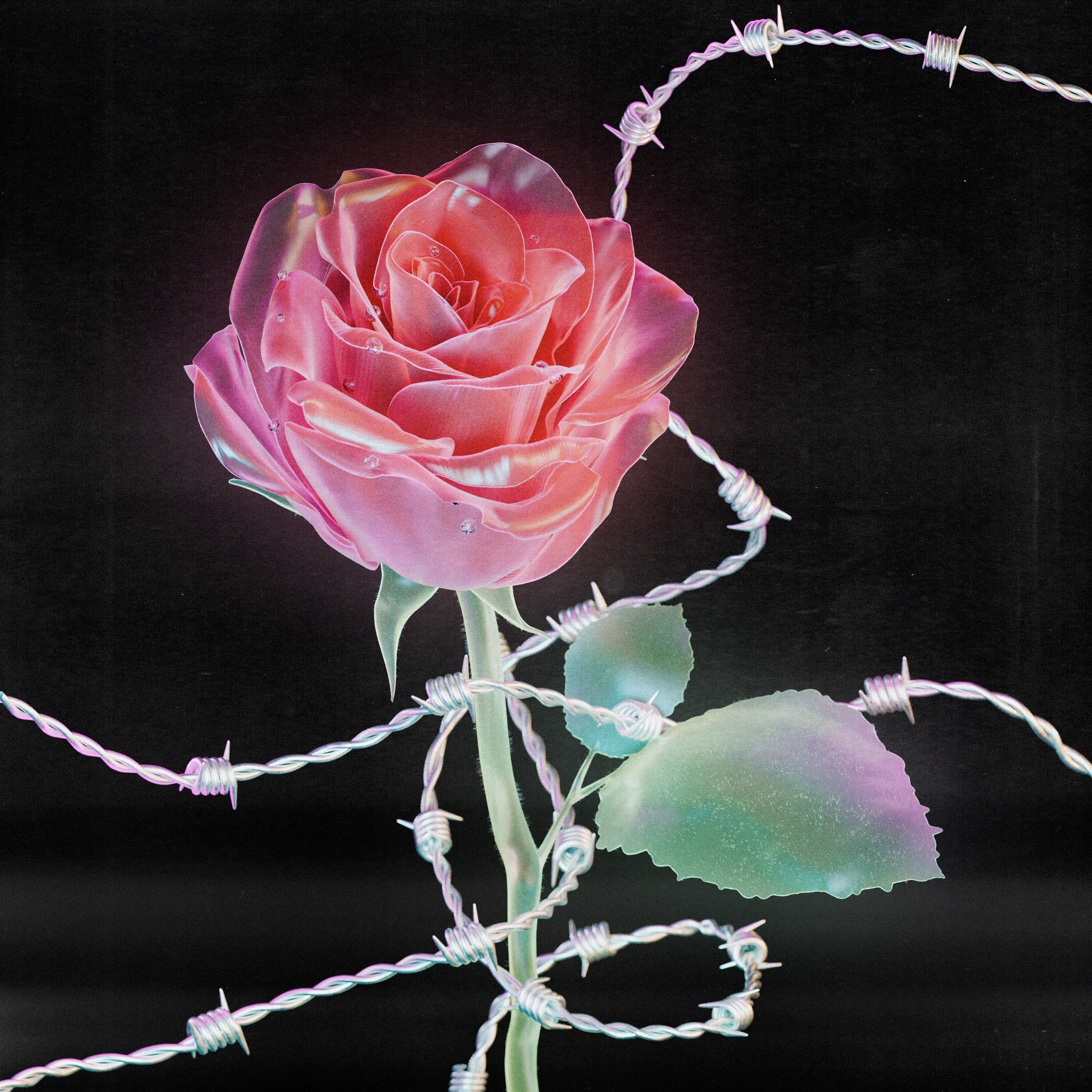 Flower #42 by Olivia Pedigo