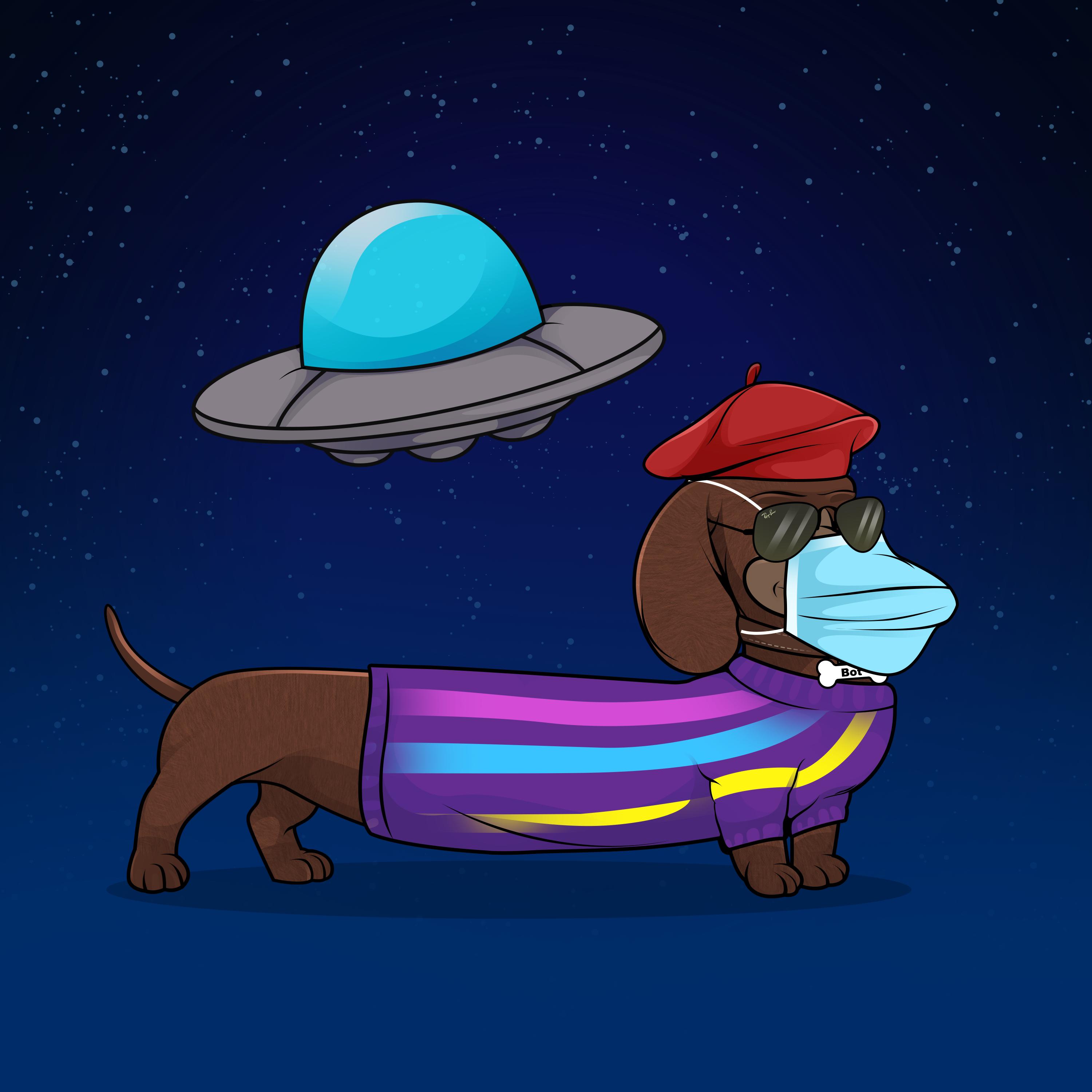 62509.eth Ethereum Name Service (ENS and .eth domain) PFP