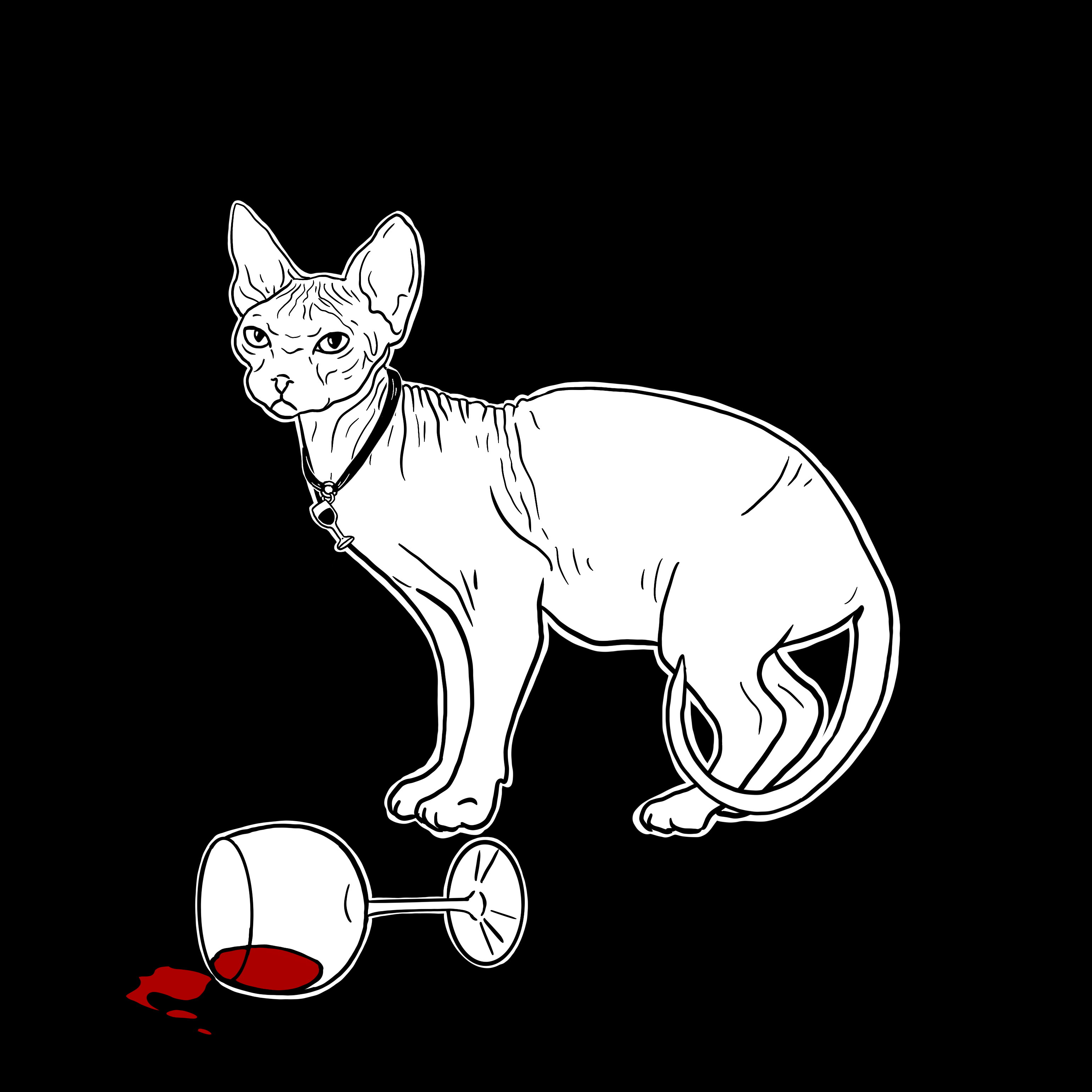 The Sad Cat #2501
