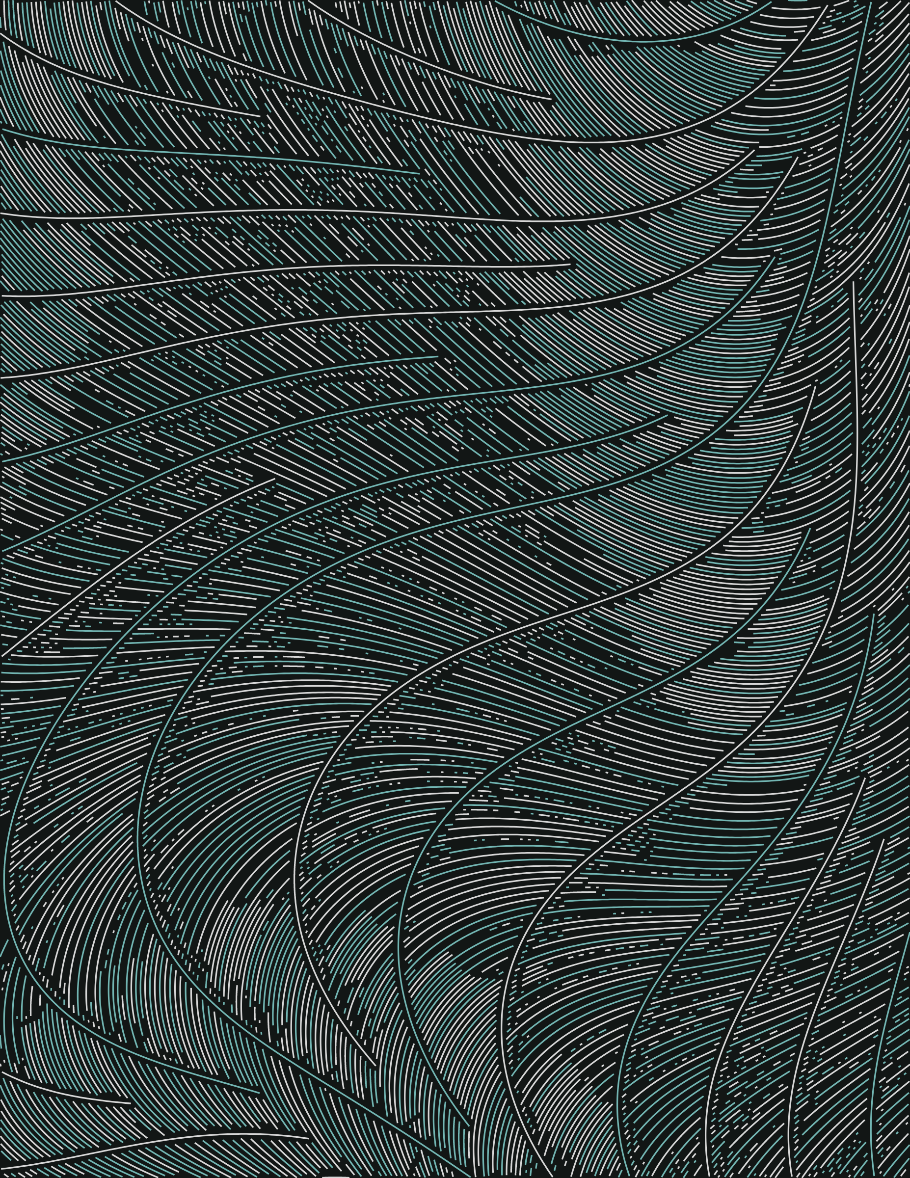 Streamlines #224