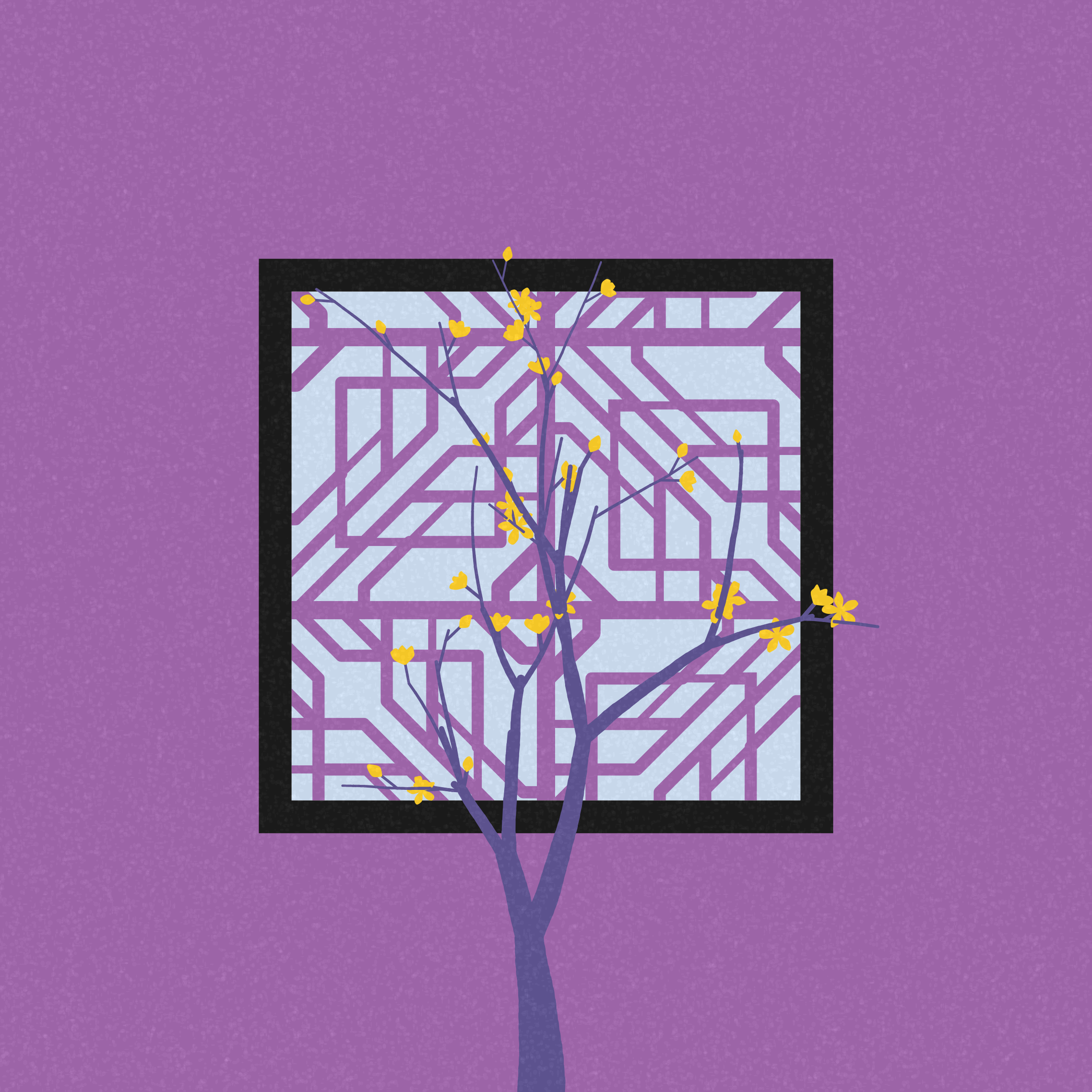 Through the Window #472