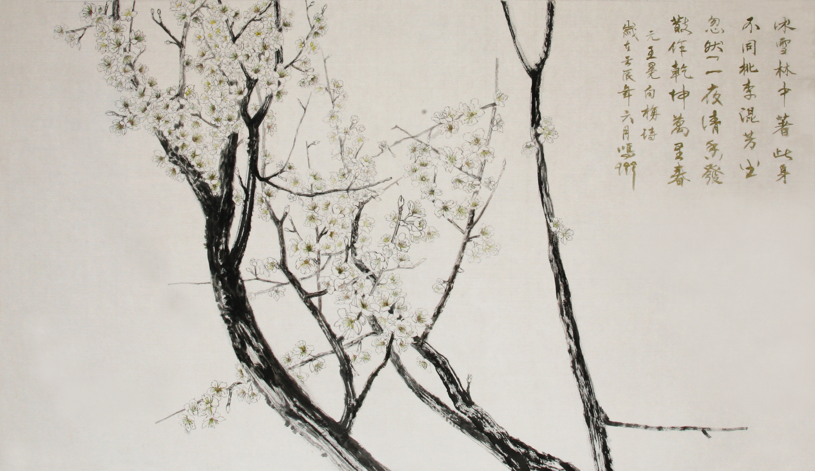 The white plum does not compete with the blossoms of spring;