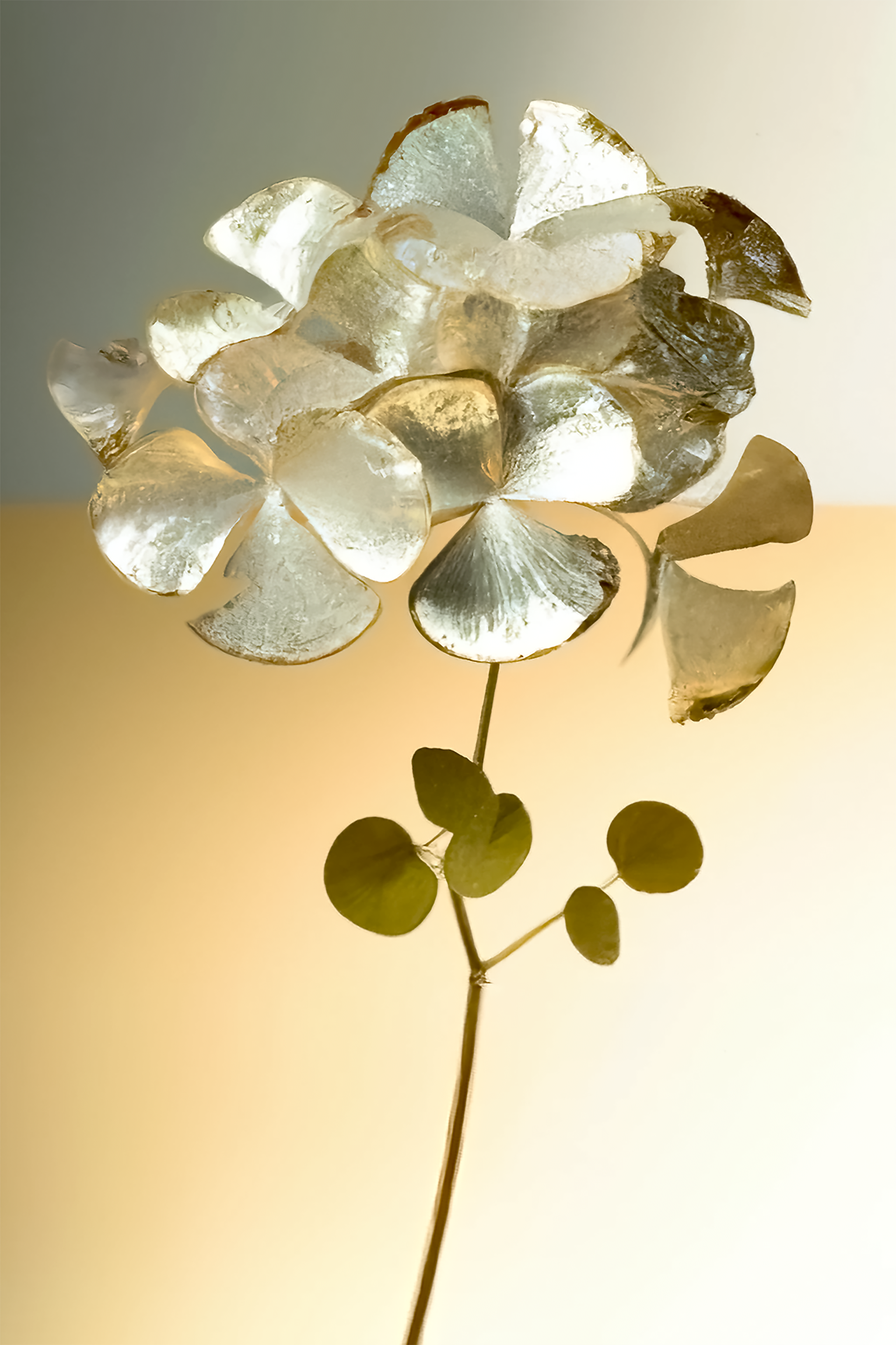 Bonne Année 2023 #52/100