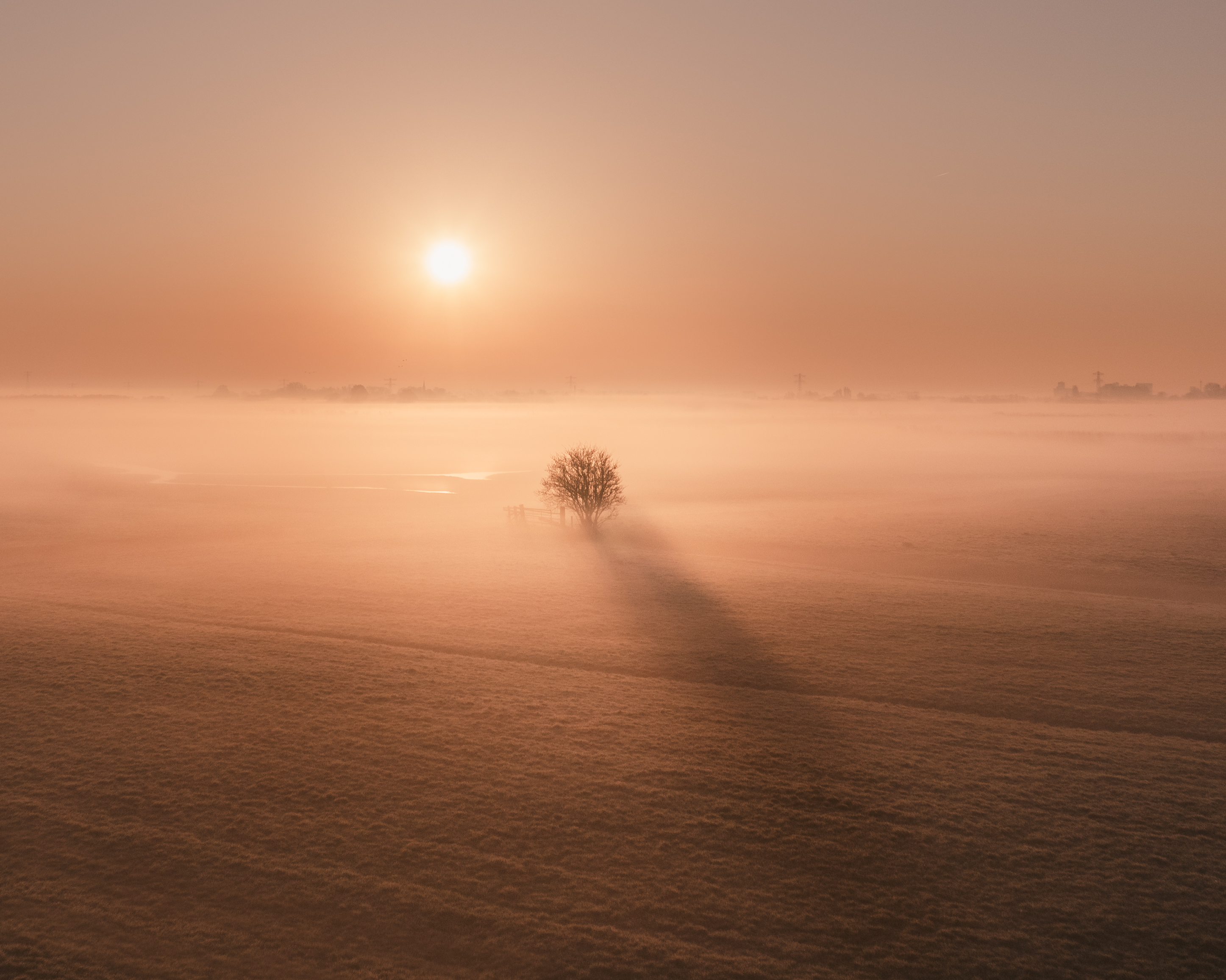 A Field of Dreams #7/21