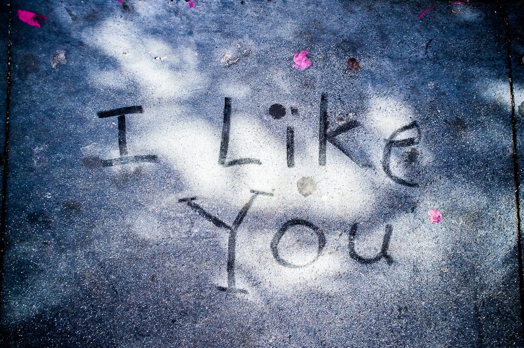 I LIKE YOU #8/13