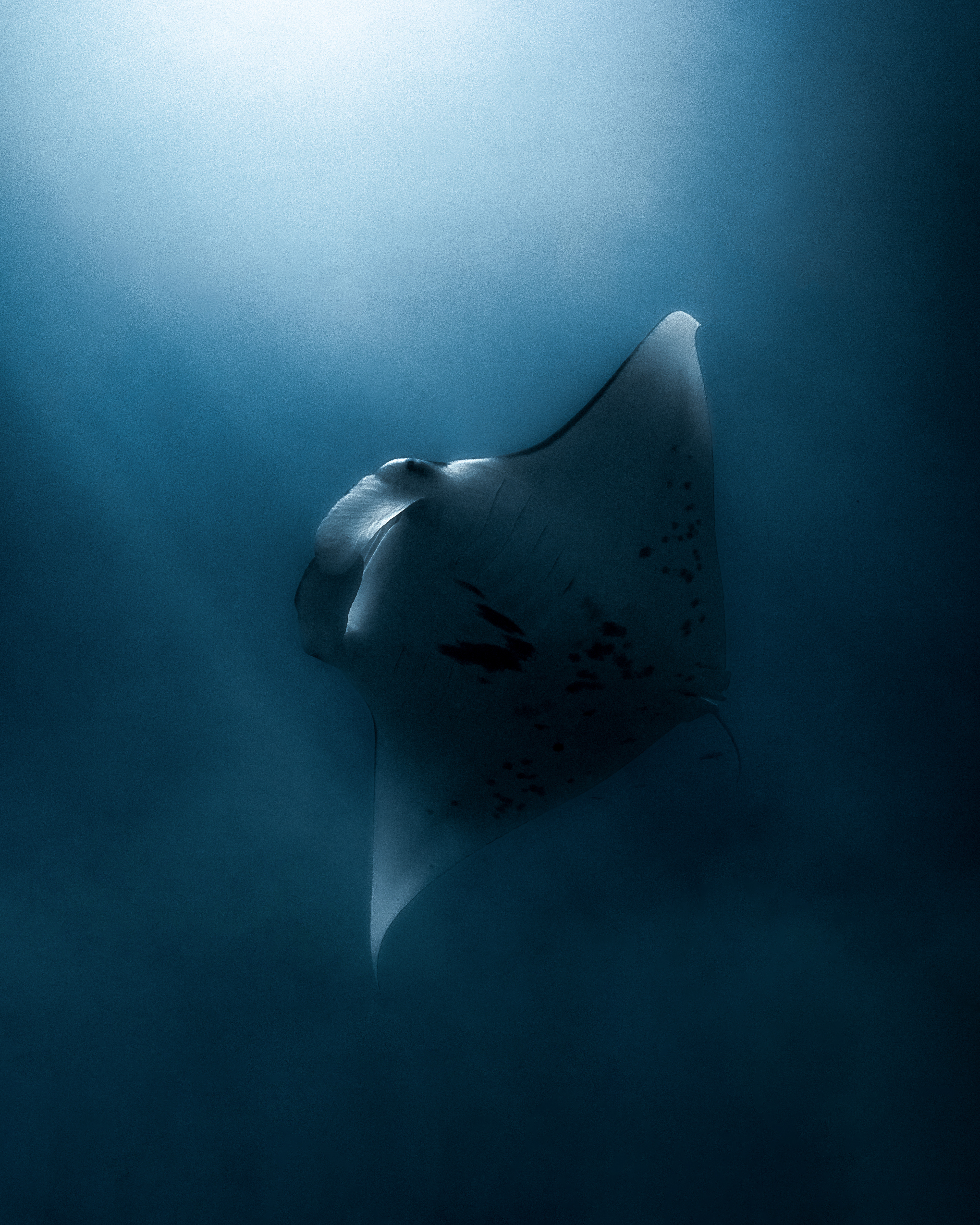 Living Amongst Angels